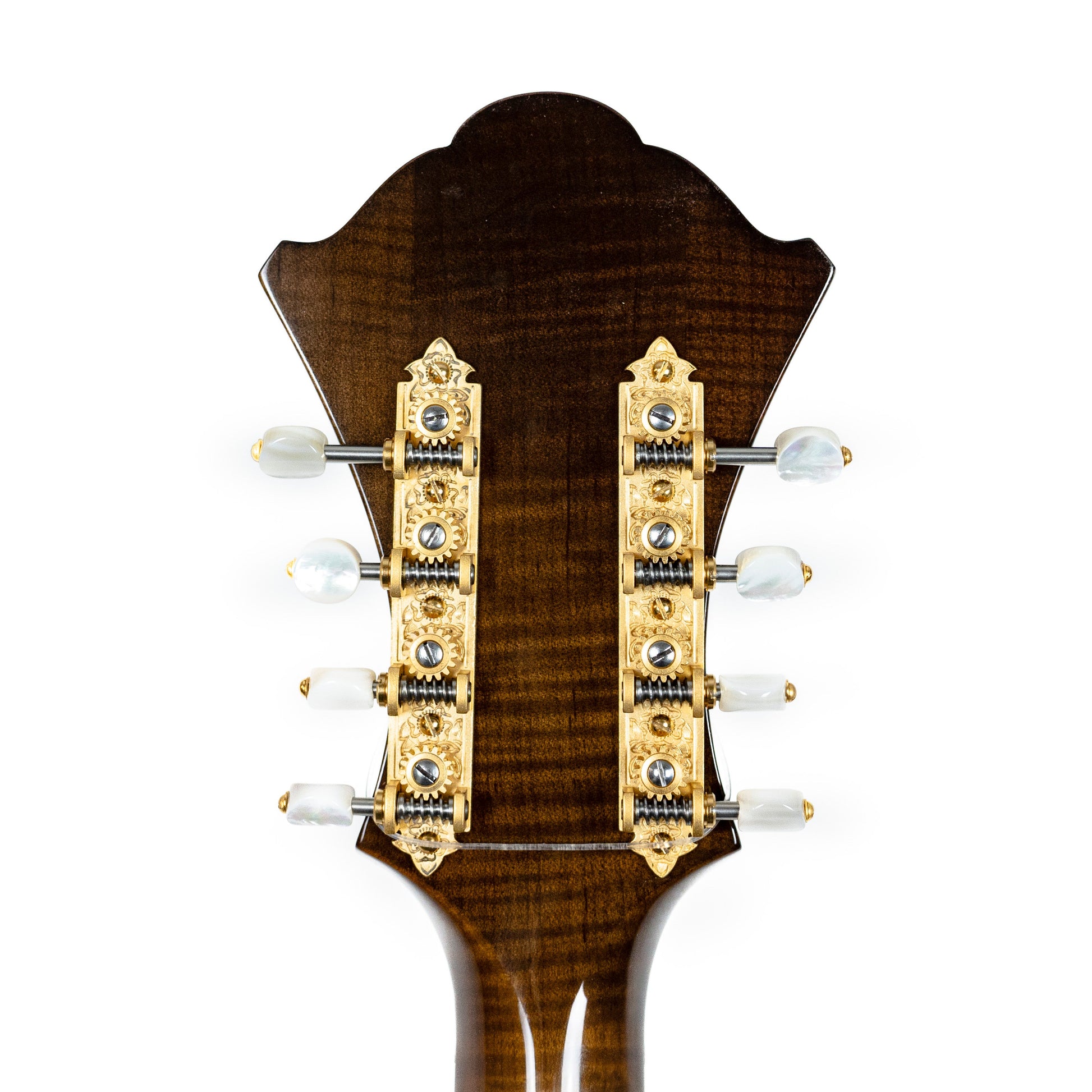 Monteleone 2021 Grand Artist Mandocello #211