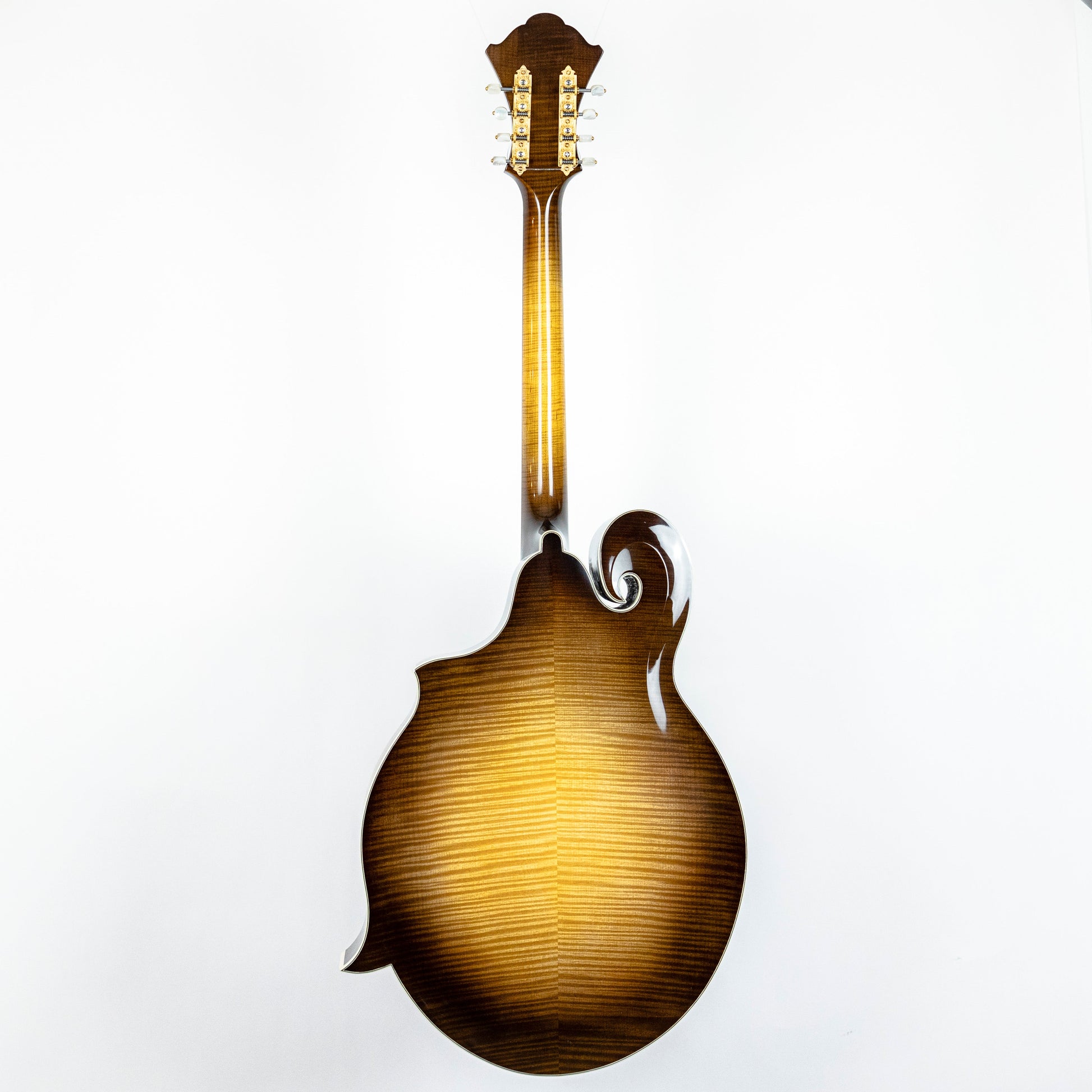 Monteleone 2021 Grand Artist Mandocello #211