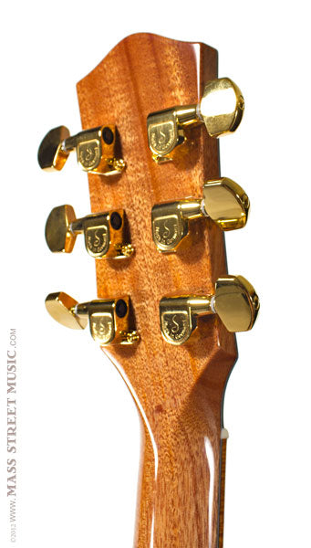 McPherson Acoustic Guitars - MG 3.5