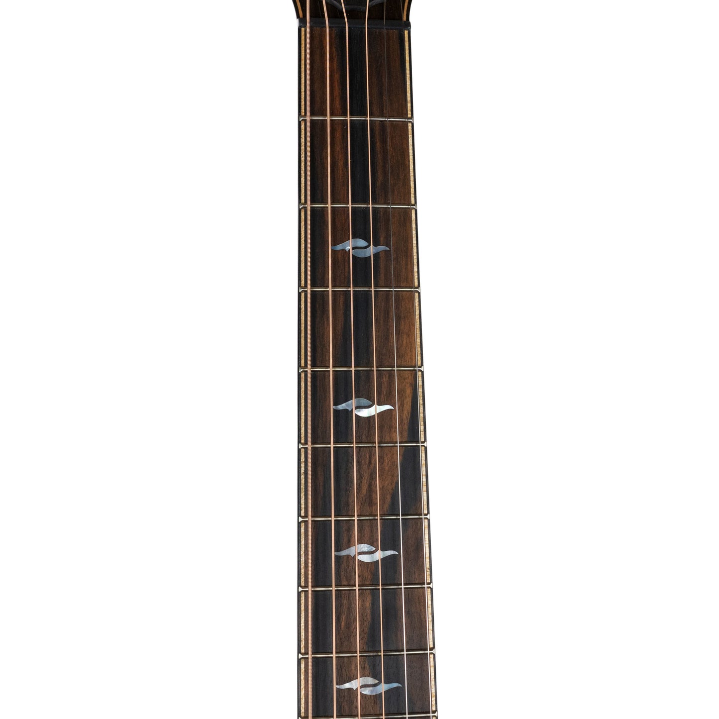 Taylor 814ce LTD Cocobolo