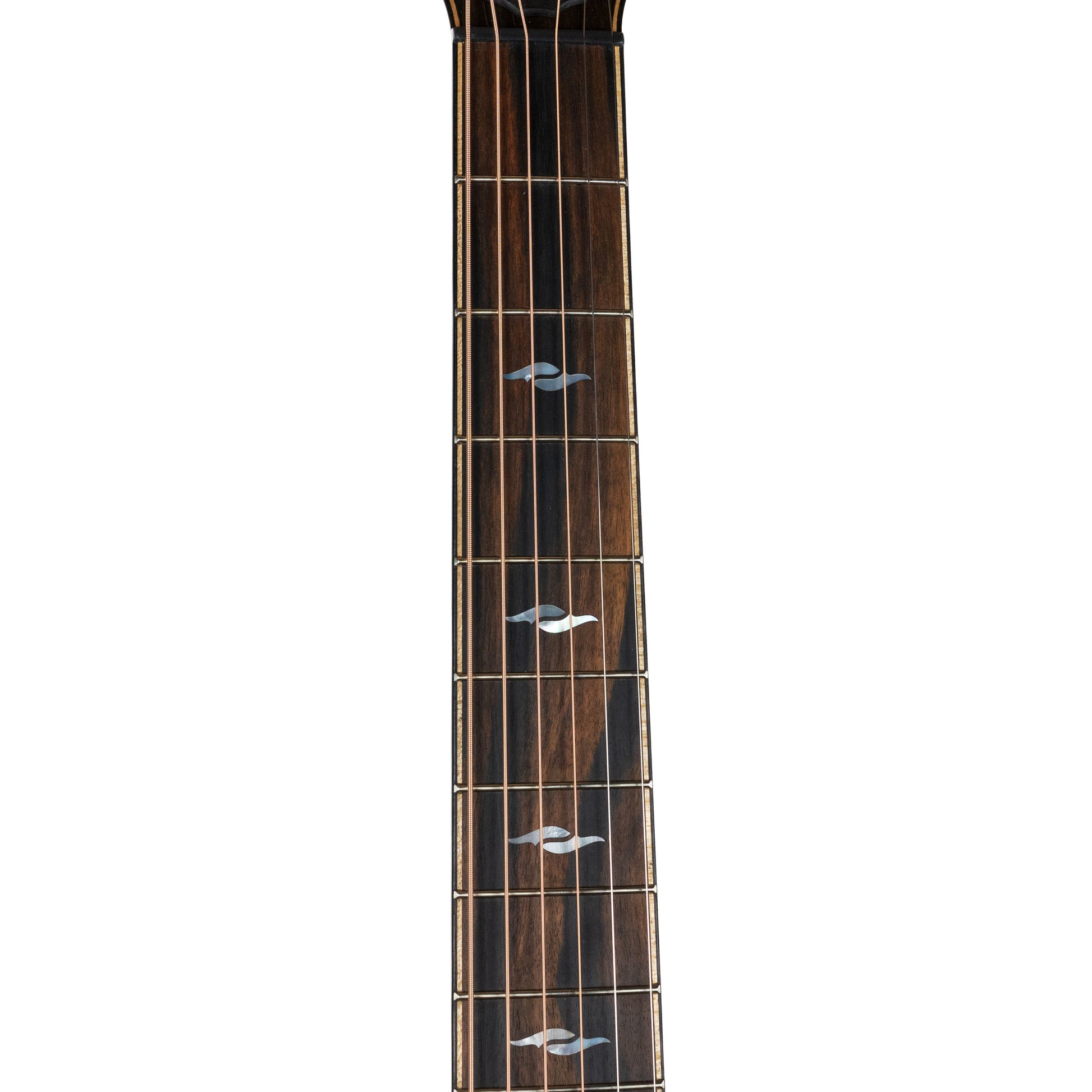 Taylor 814ce LTD Cocobolo