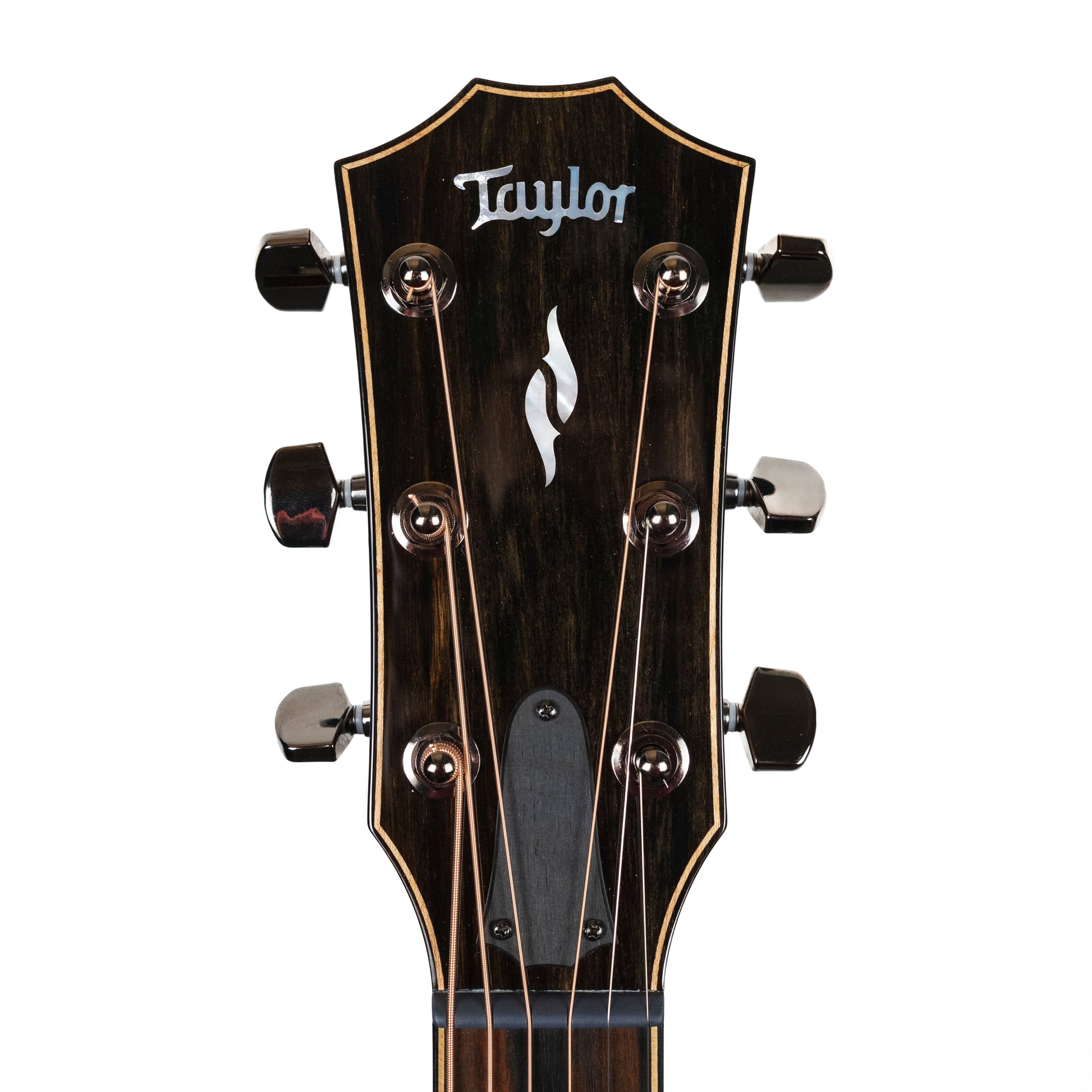 Taylor 814ce LTD Cocobolo