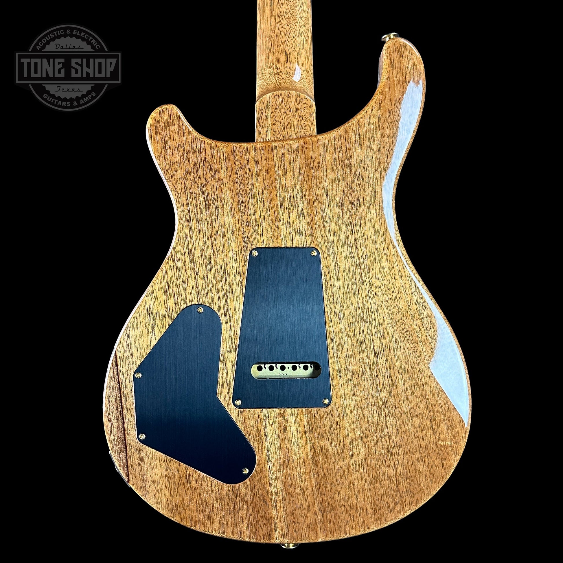 PRS TSG Exclusive Wood Library Artist DGT Frostbite Brazilian Rosewood w/case 0391555