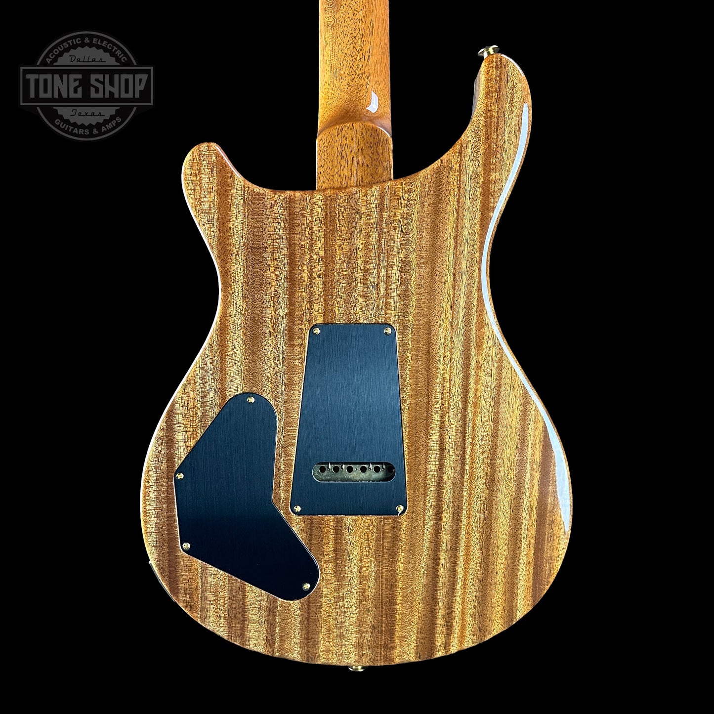 PRS TSG Exclusive Wood Library Artist DGT Frostbite Brazilian Rosewood w/case 0391550