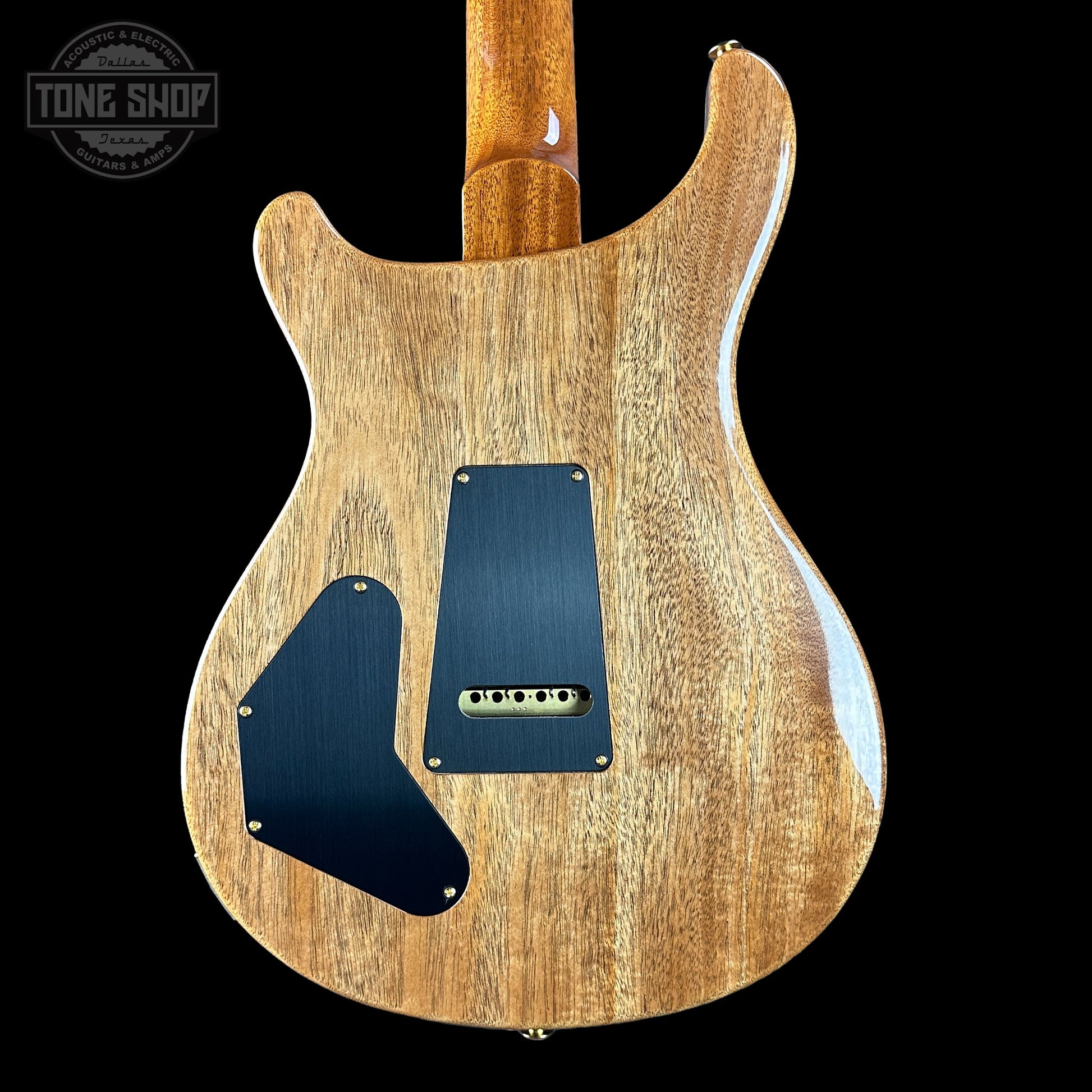 PRS TSG Exclusive Wood Library Artist DGT Frostbite Brazilian Rosewood w/case 0391852
