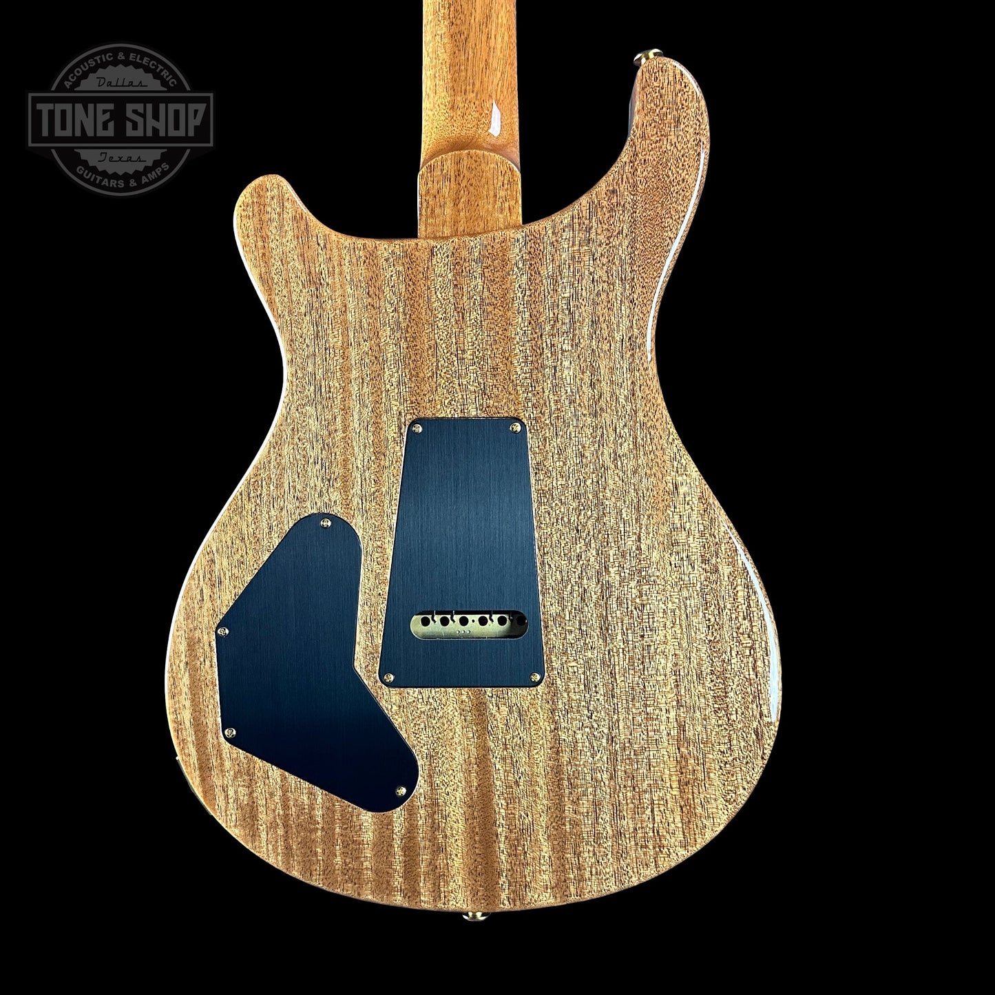 PRS TSG Exclusive Wood Library Artist DGT Frostbite Brazilian Rosewood w/case 0391551