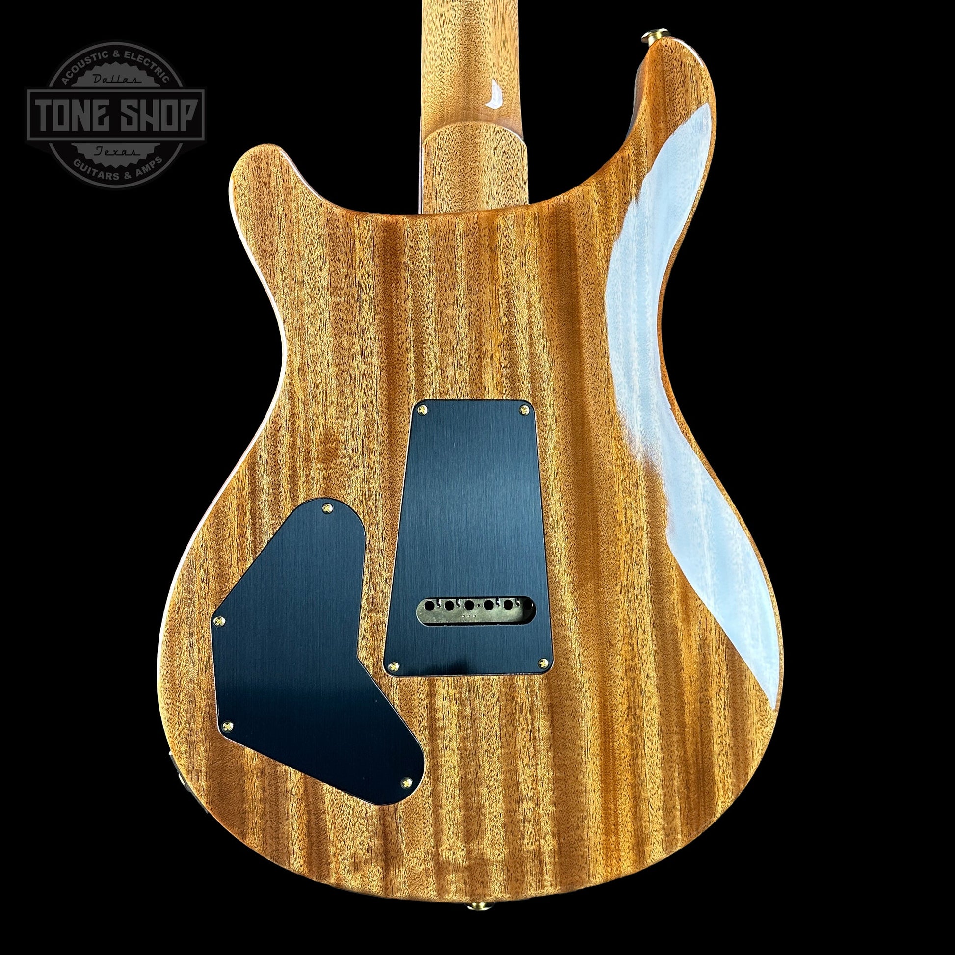 PRS TSG Exclusive Wood Library Artist DGT Frostbite Brazilian Rosewood w/case 0391544