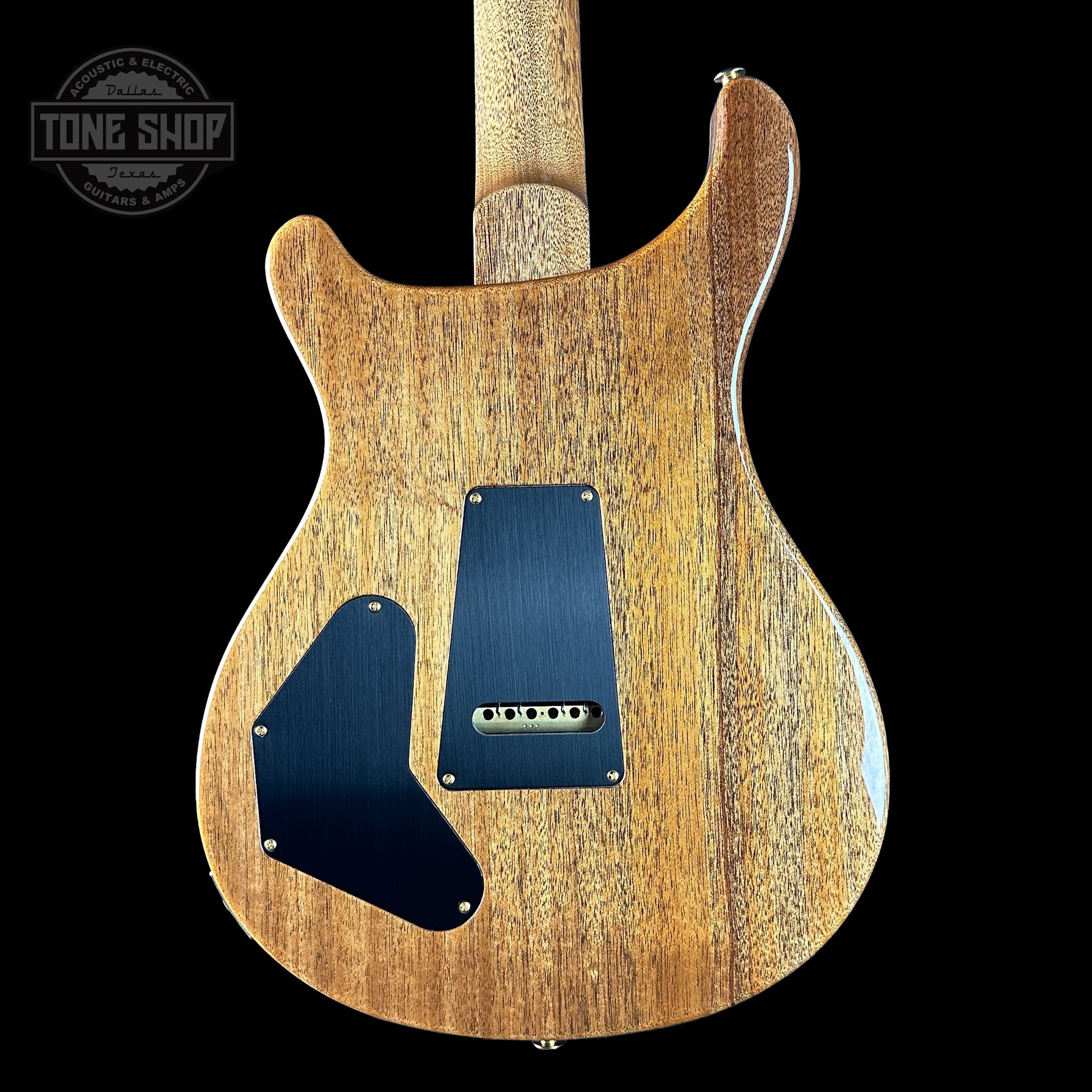 PRS TSG Exclusive Wood Library Artist DGT Frostbite Brazilian Rosewood w/case 0391560