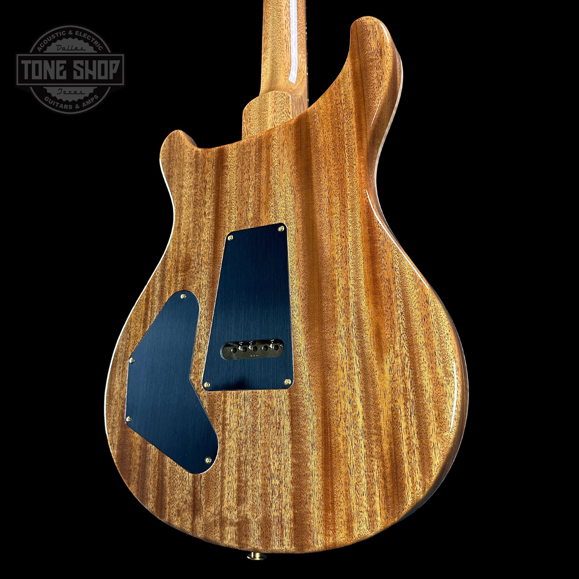 PRS TSG Exclusive Wood Library Artist DGT Frostbite Brazilian Rosewood w/case 0391544
