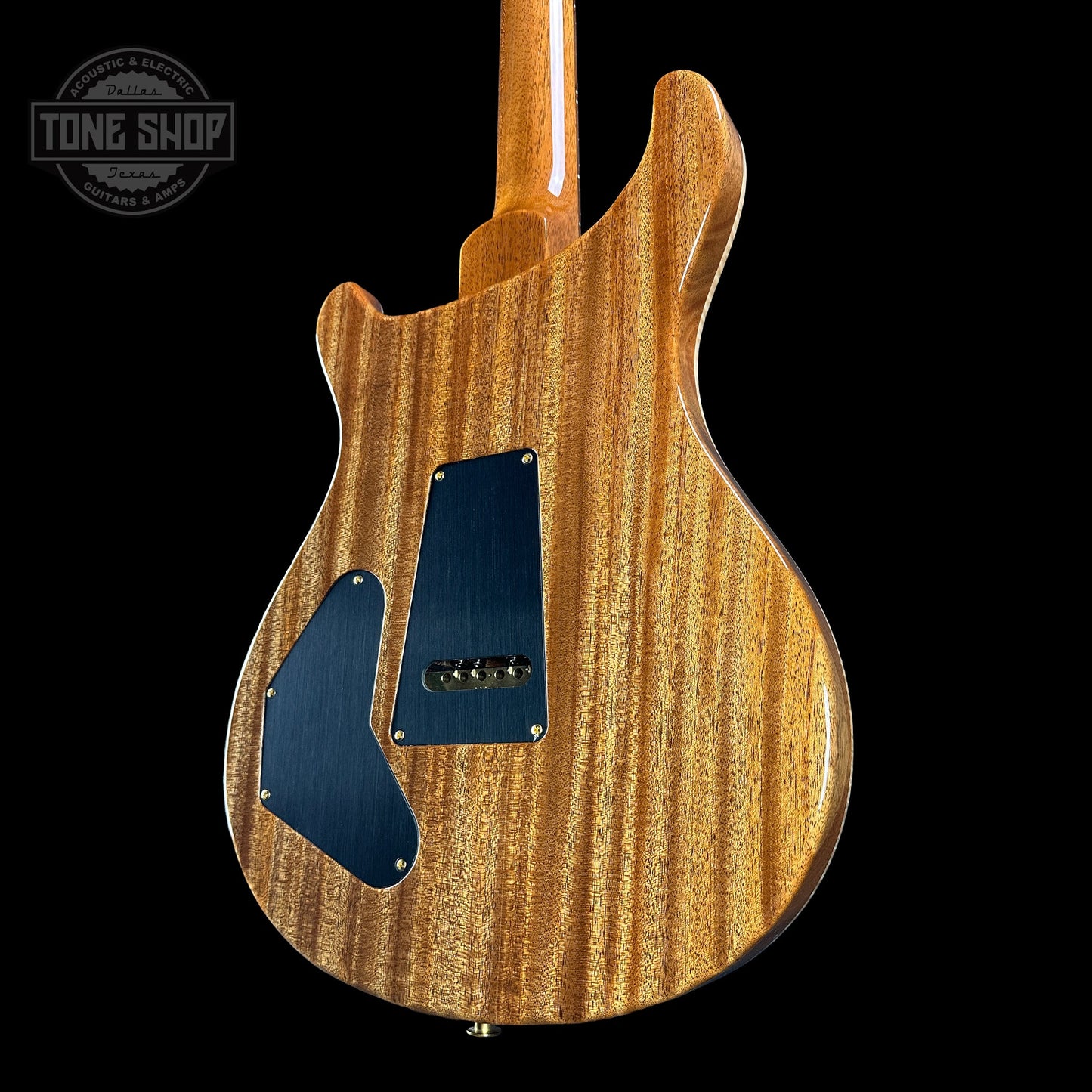 PRS TSG Exclusive Wood Library Artist DGT Frostbite Brazilian Rosewood w/case 0391550