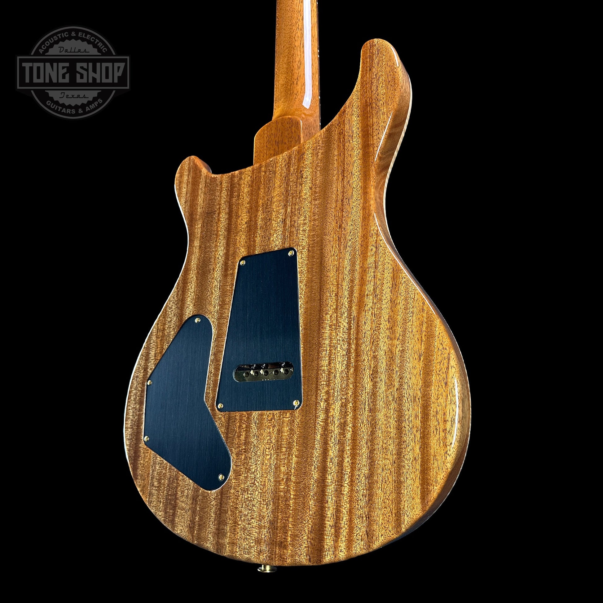 PRS TSG Exclusive Wood Library Artist DGT Frostbite Brazilian Rosewood w/case 0391550