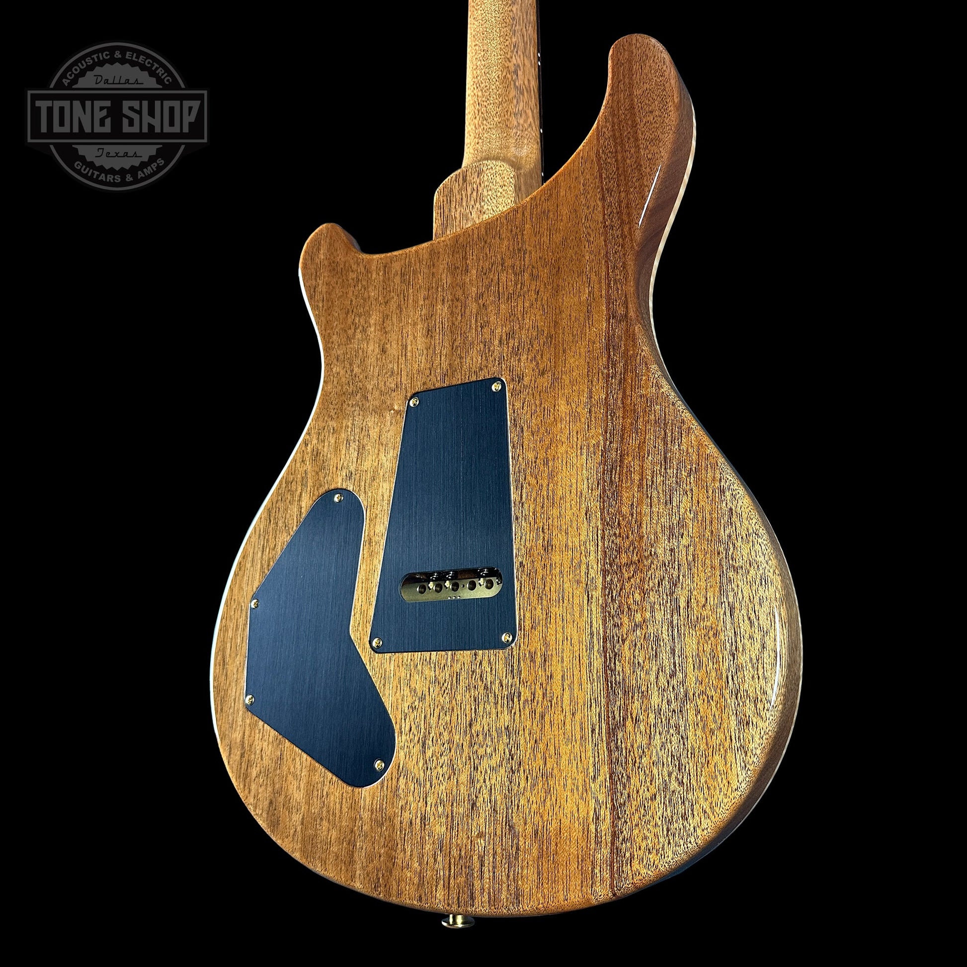 PRS TSG Exclusive Wood Library Artist DGT Frostbite Brazilian Rosewood w/case 0391560