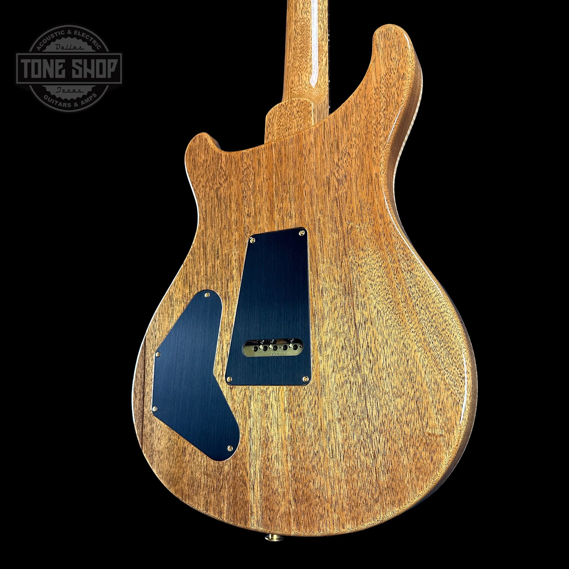 PRS TSG Exclusive Wood Library Artist DGT Frostbite Brazilian Rosewood w/case 0391555