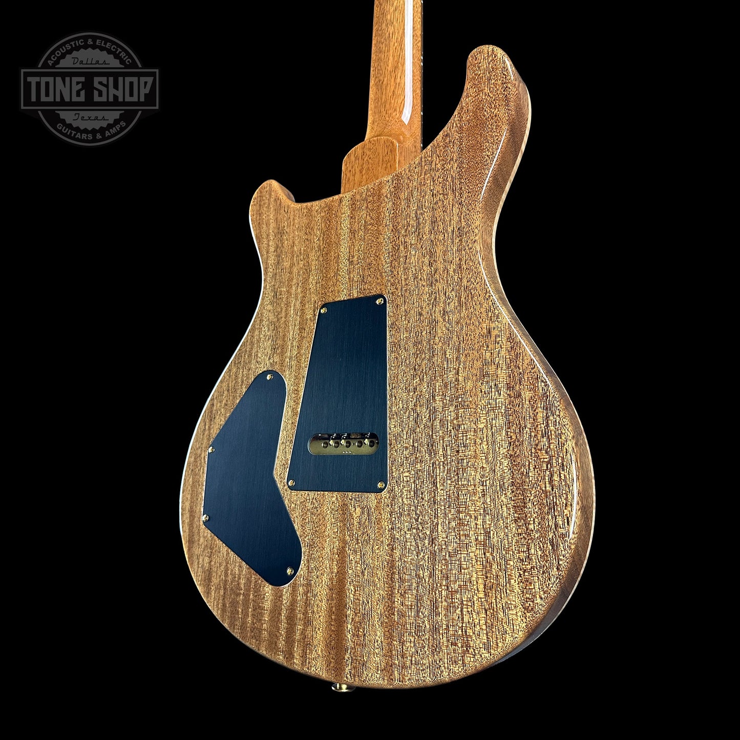 PRS TSG Exclusive Wood Library Artist DGT Frostbite Brazilian Rosewood w/case 0391551