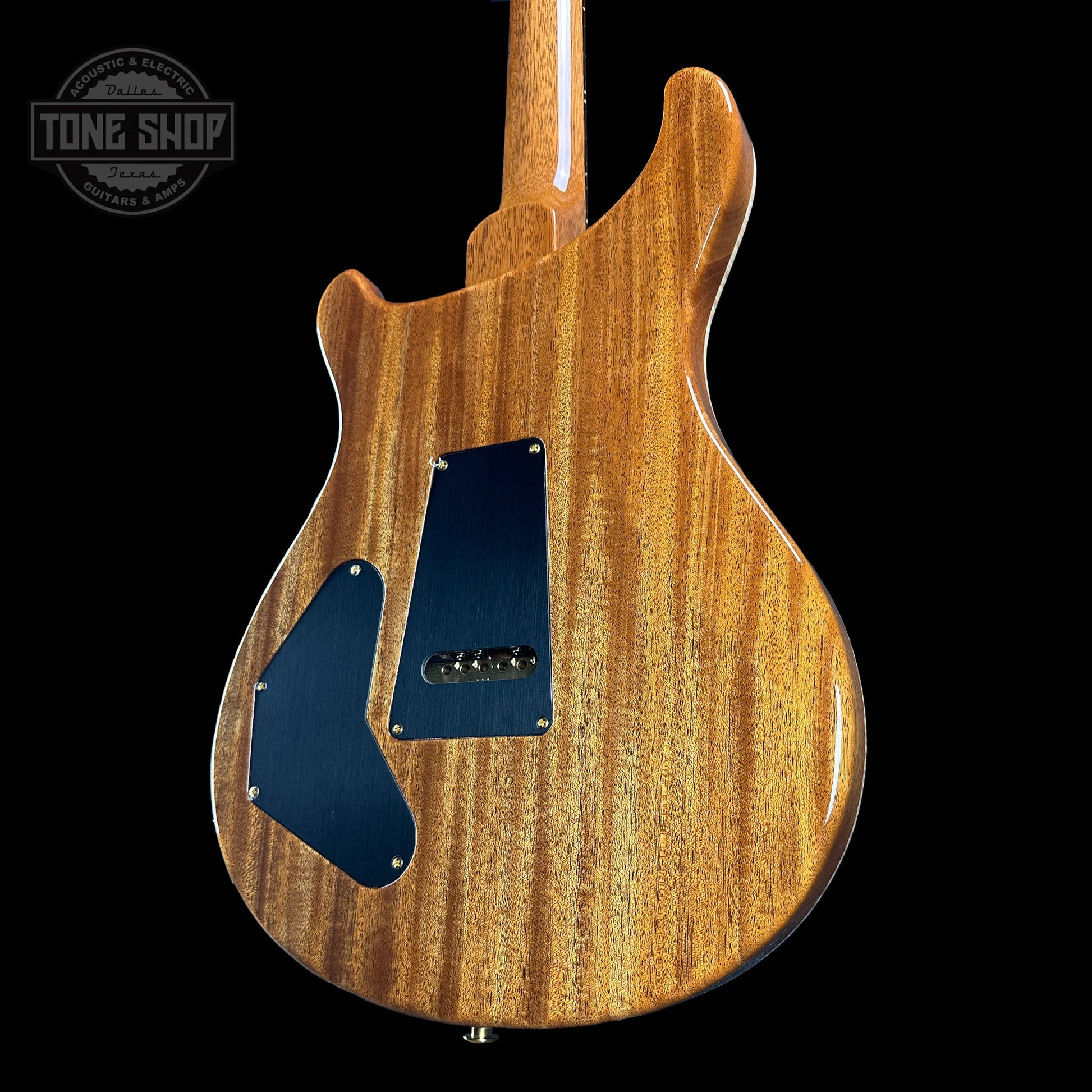 PRS TSG Exclusive Wood Library Artist DGT Frostbite Brazilian Rosewood w/case 0391549