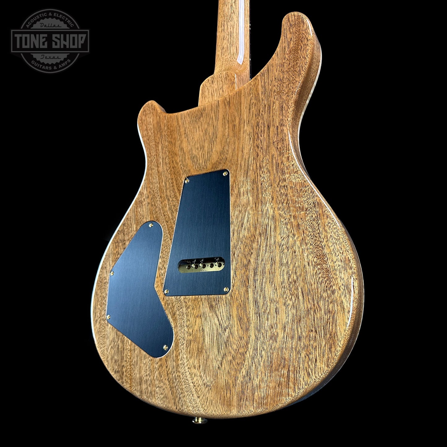 PRS TSG Exclusive Wood Library Artist DGT Frostbite Brazilian Rosewood w/case 0394887