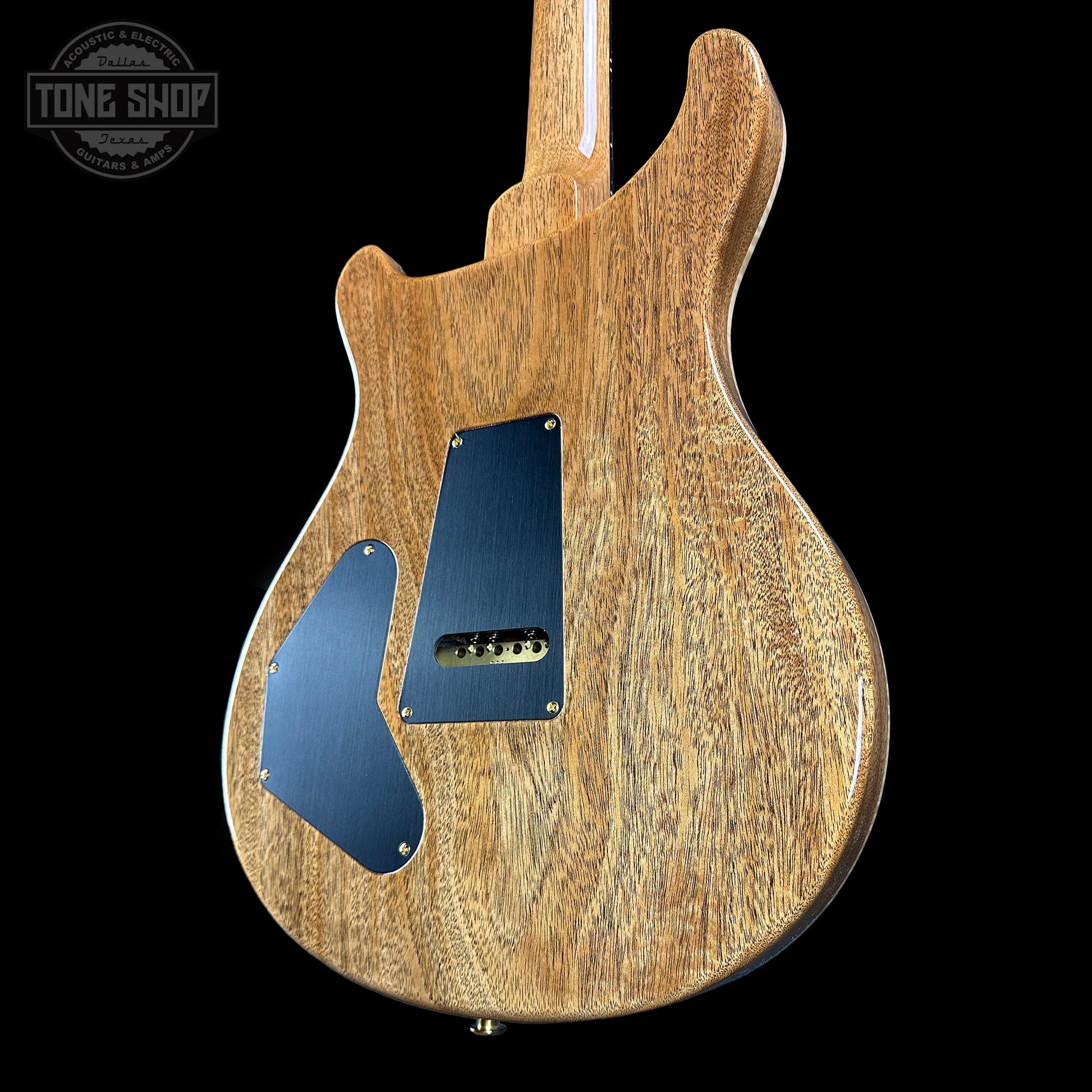 PRS TSG Exclusive Wood Library Artist DGT Frostbite Brazilian Rosewood w/case 0394887
