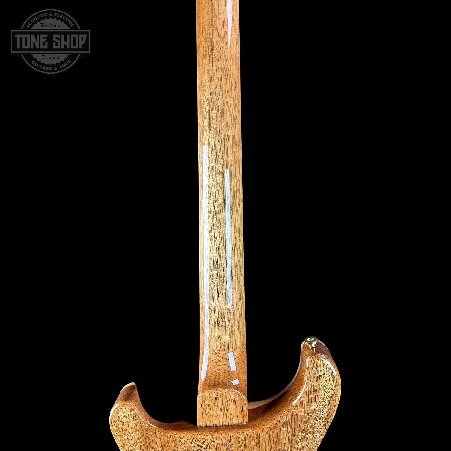 PRS TSG Exclusive Wood Library Artist DGT Frostbite Brazilian Rosewood w/case 0394887