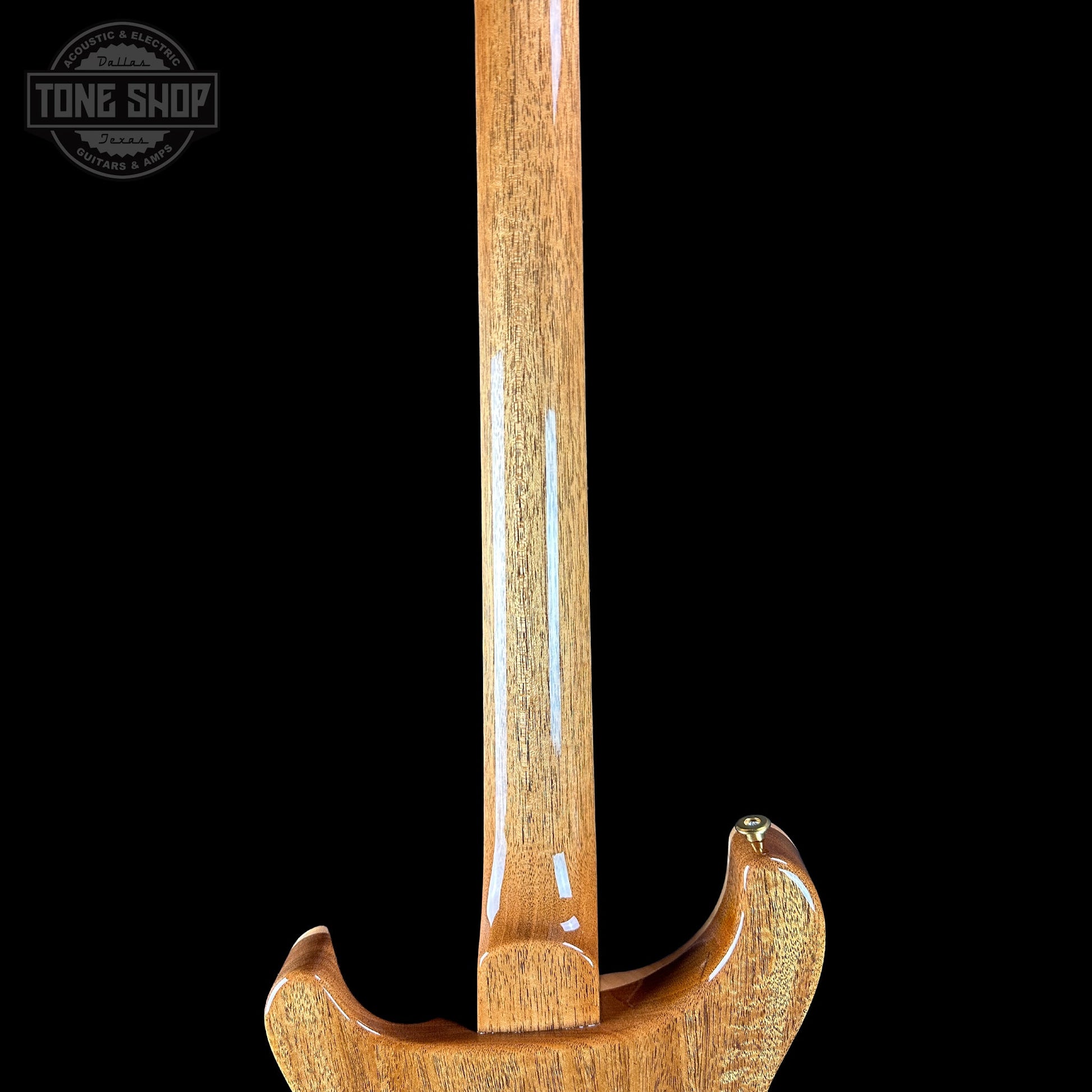 PRS TSG Exclusive Wood Library Artist DGT Frostbite Brazilian Rosewood w/case 0394887