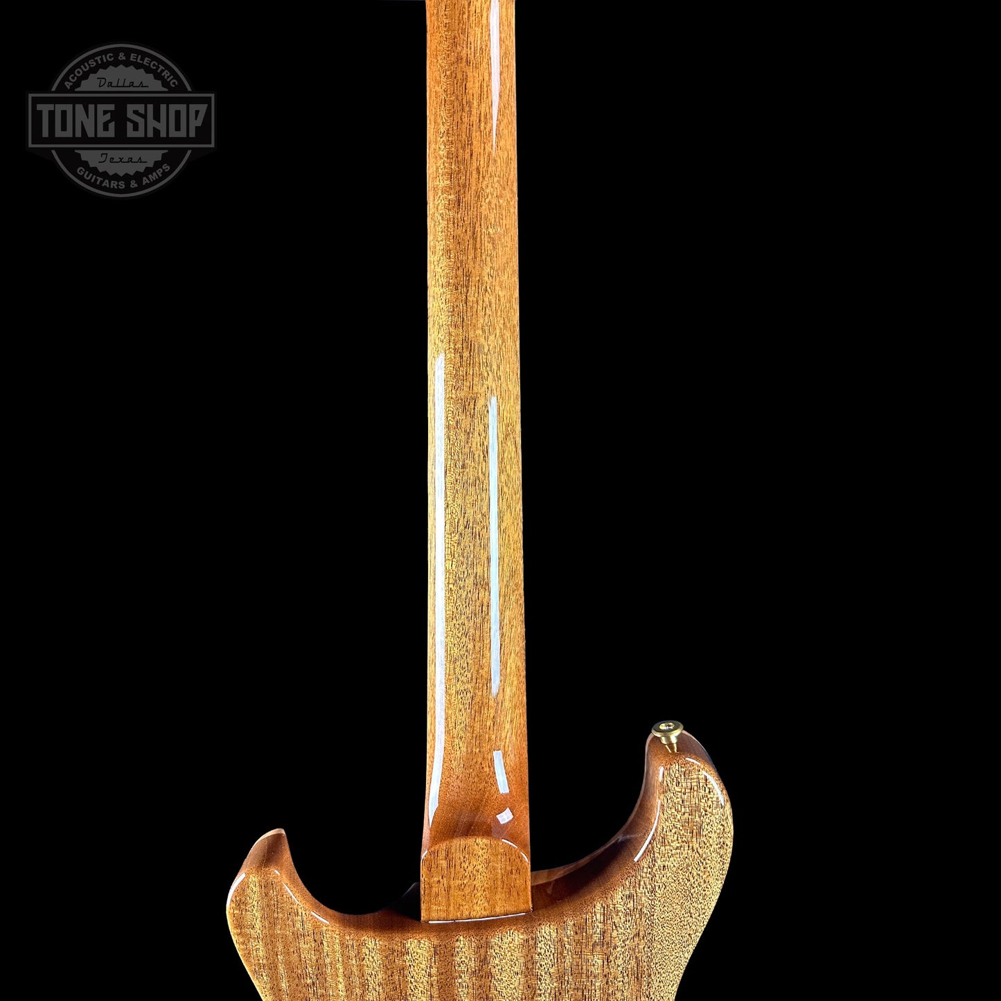 PRS TSG Exclusive Wood Library Artist DGT Frostbite Brazilian Rosewood w/case 0391551