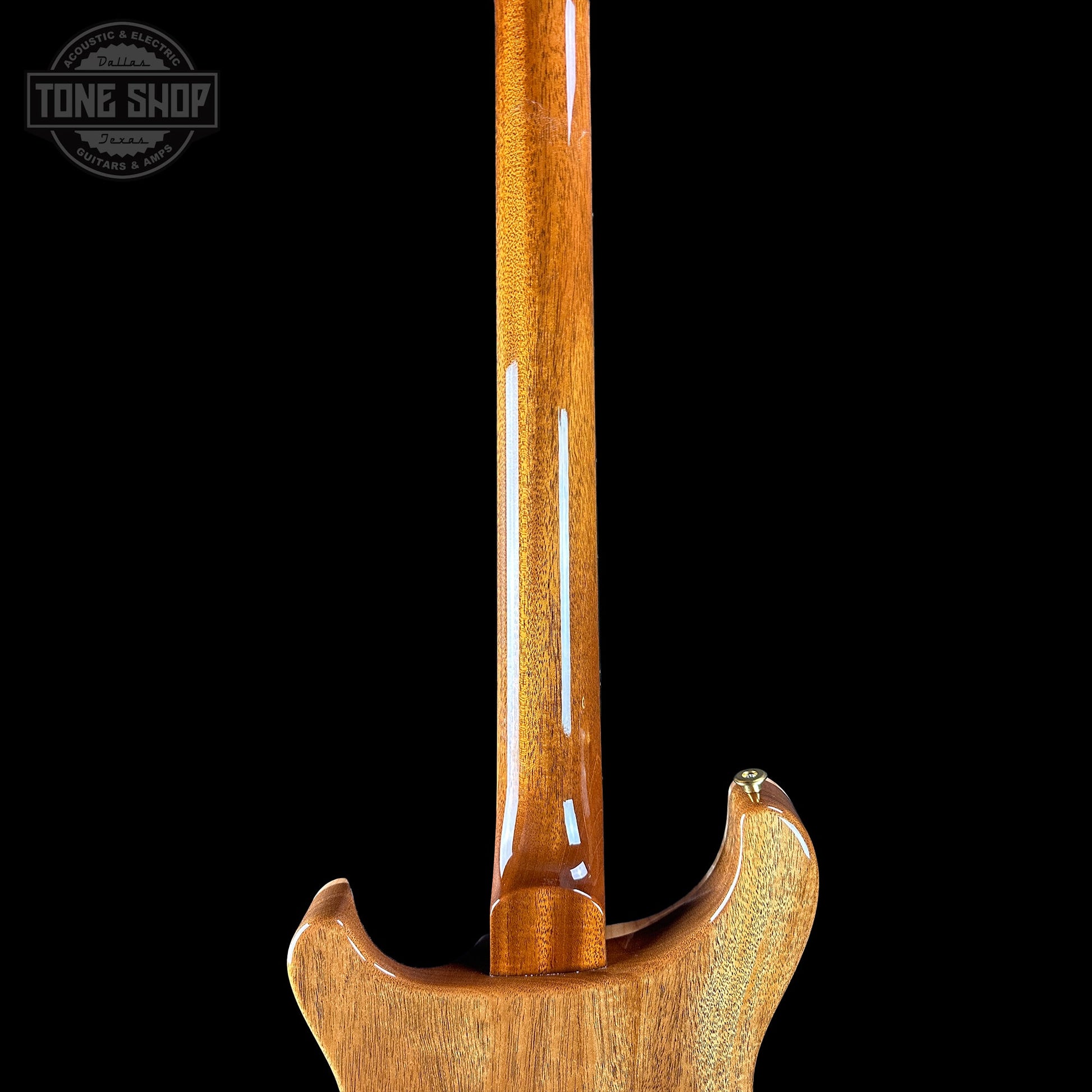 PRS TSG Exclusive Wood Library Artist DGT Frostbite Brazilian Rosewood w/case 0391852
