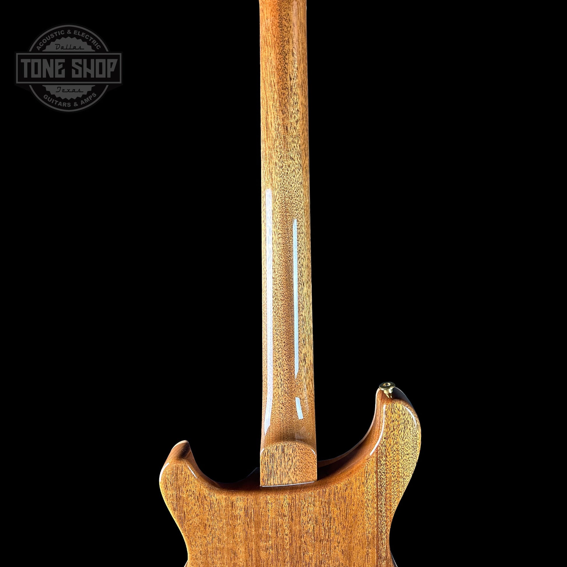 PRS TSG Exclusive Wood Library Artist DGT Frostbite Brazilian Rosewood w/case 0391560