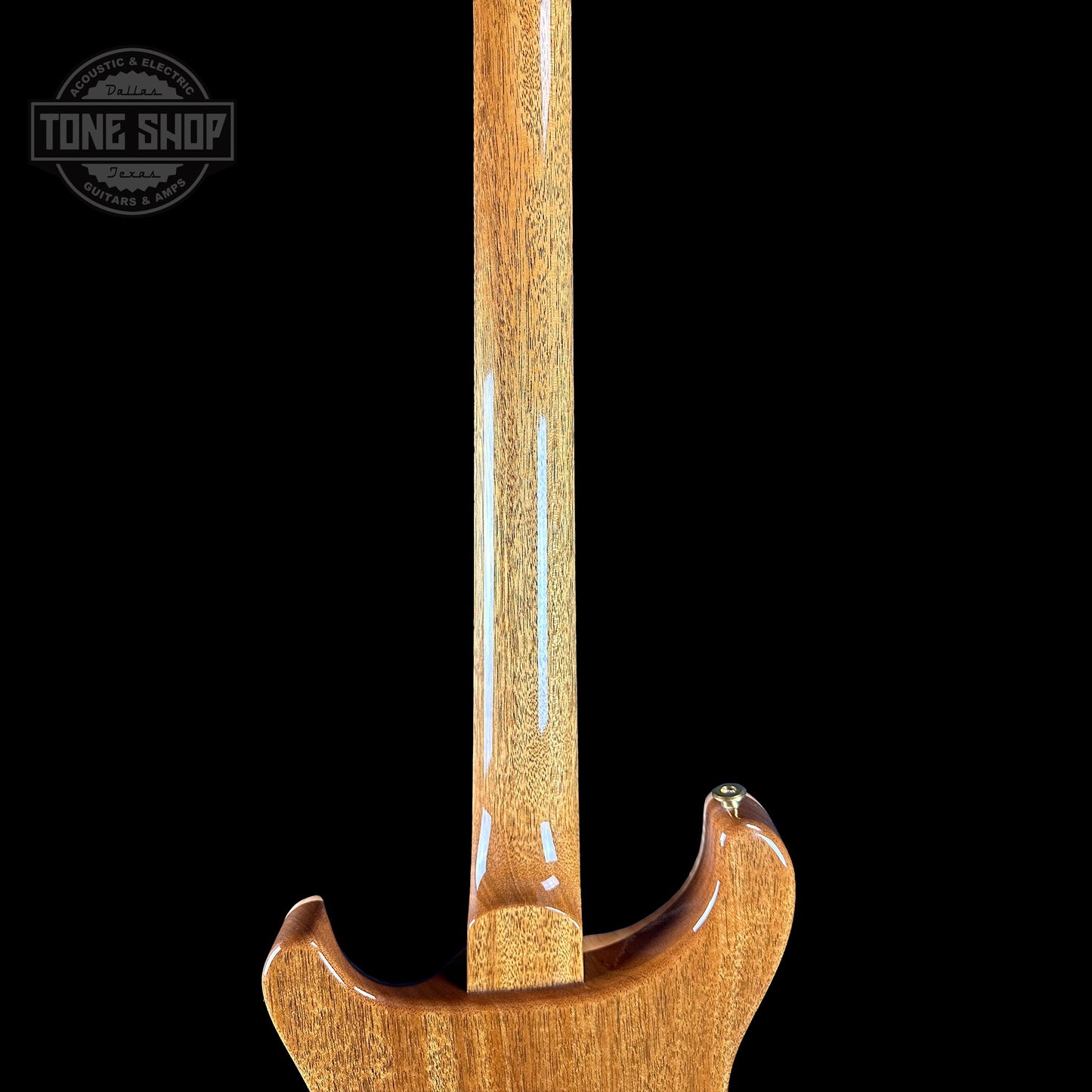 PRS TSG Exclusive Wood Library Artist DGT Frostbite Brazilian Rosewood w/case 0391555