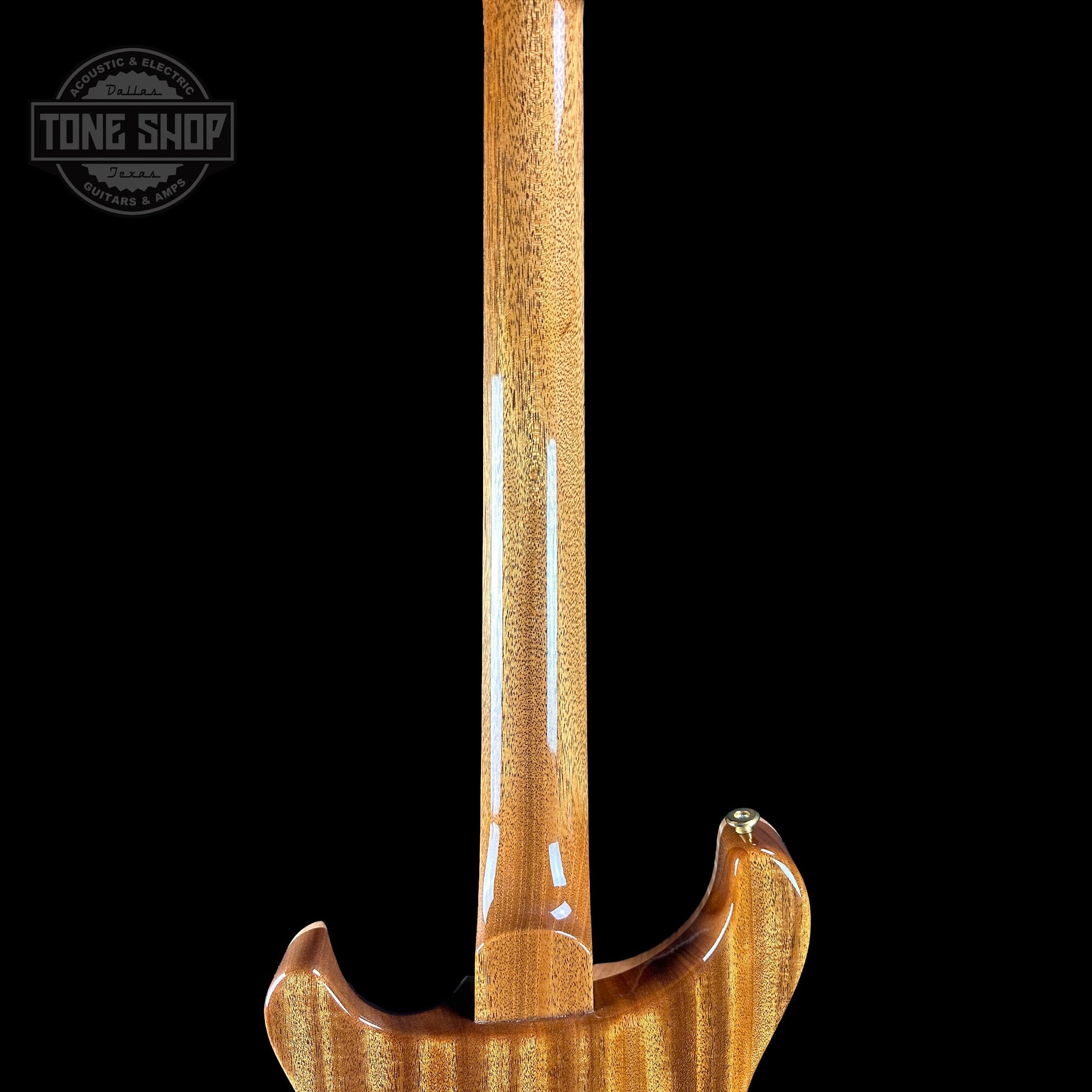 PRS TSG Exclusive Wood Library Artist DGT Frostbite Brazilian Rosewood w/case 0391544