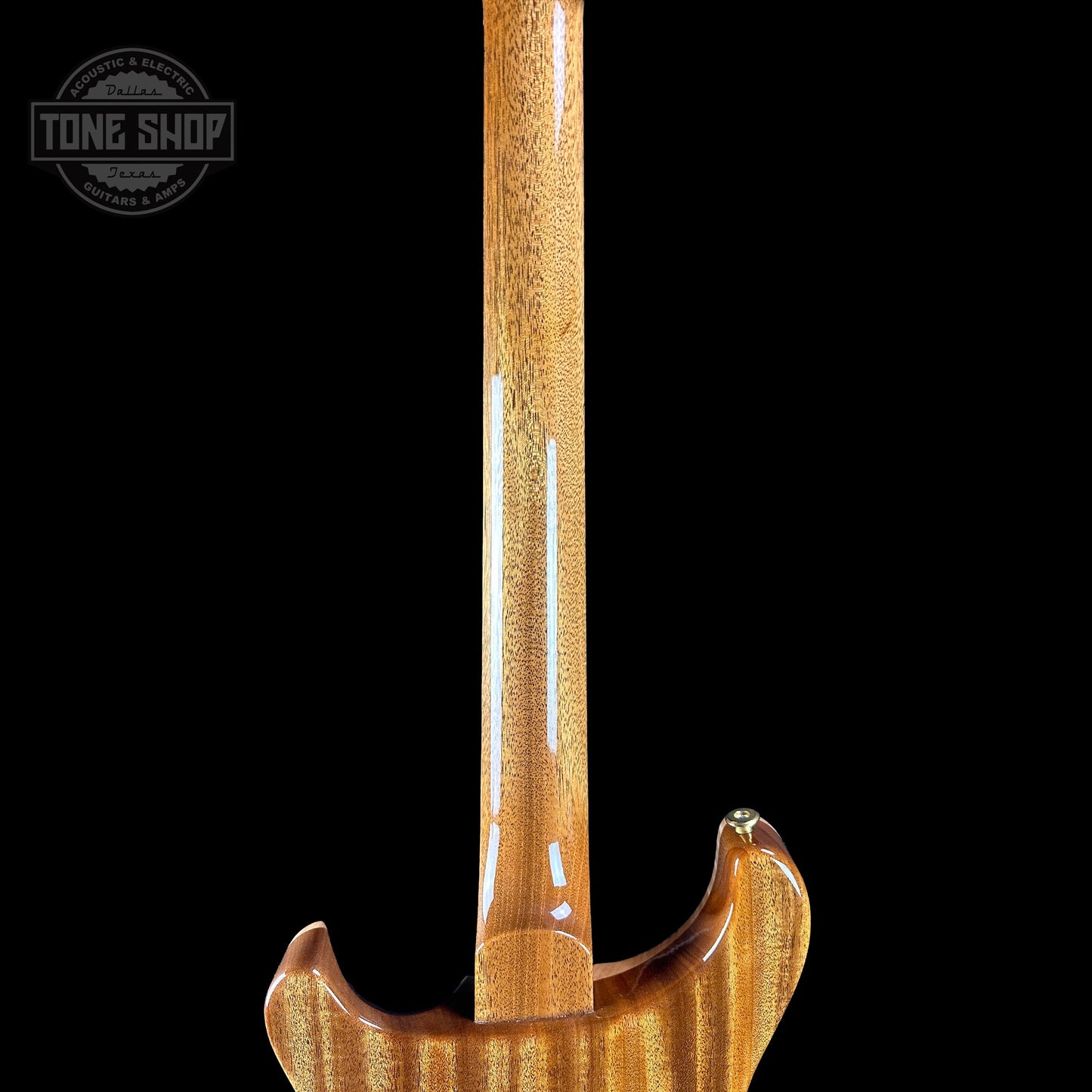 PRS TSG Exclusive Wood Library Artist DGT Frostbite Brazilian Rosewood w/case 0391544