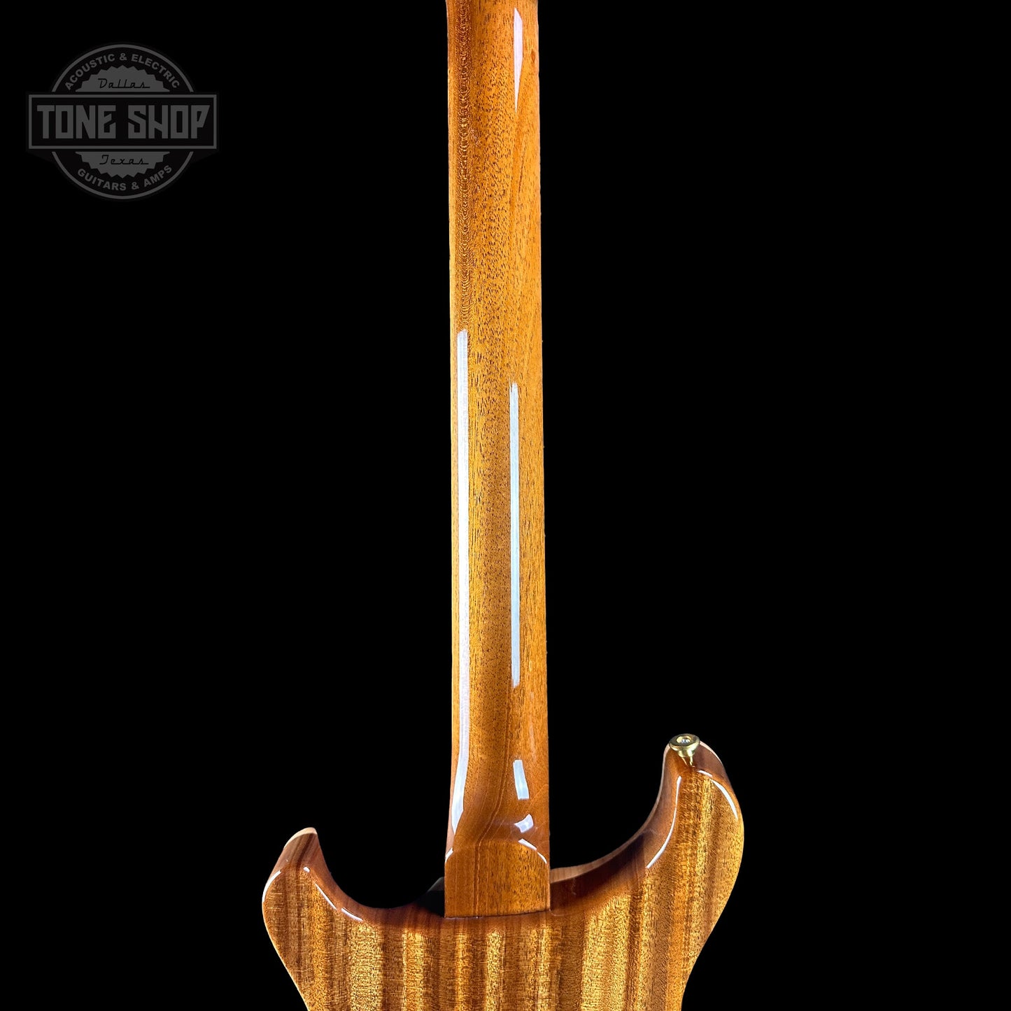 PRS TSG Exclusive Wood Library Artist DGT Frostbite Brazilian Rosewood w/case 0391550