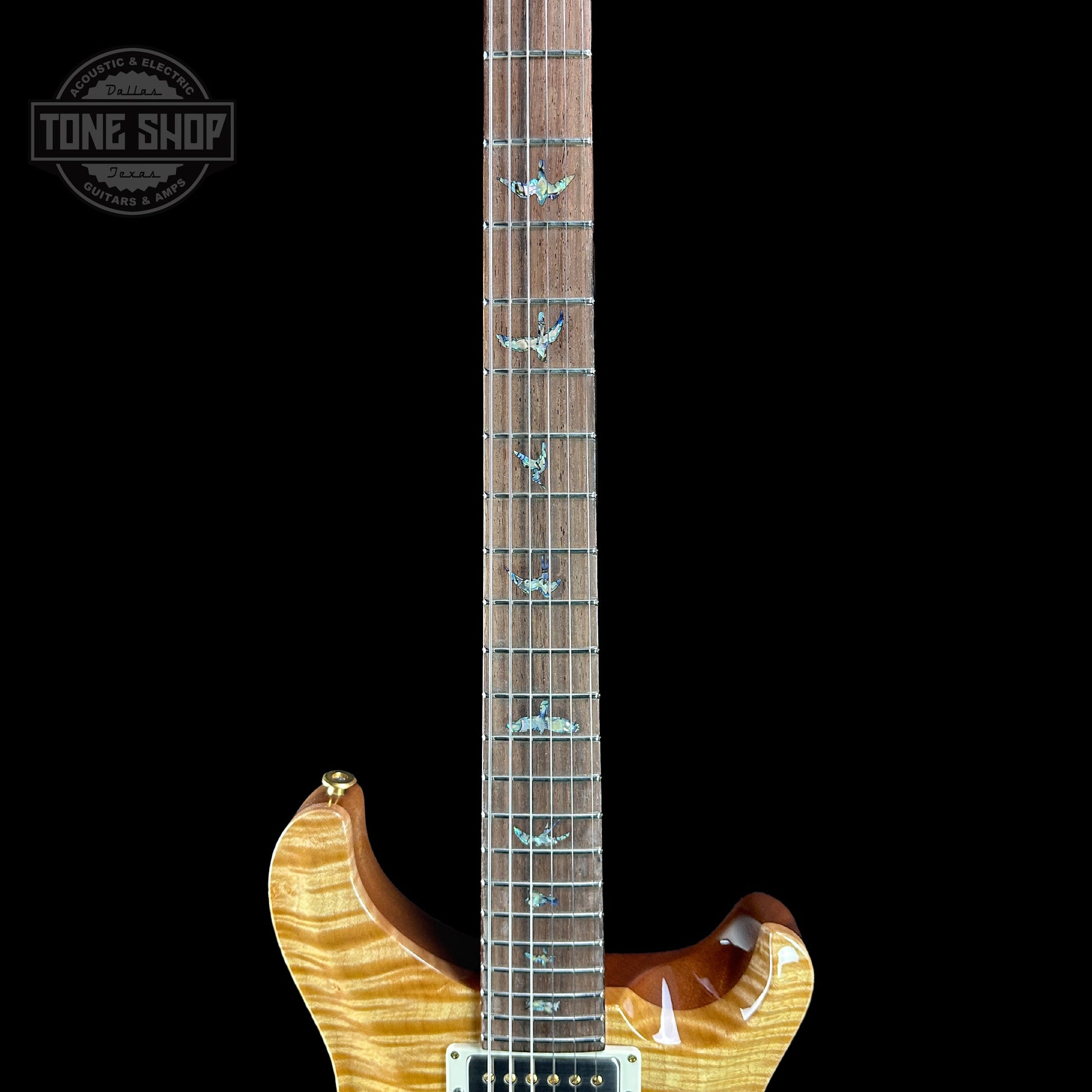 PRS TSG Exclusive Wood Library Artist DGT Gold Storm Fade Brazilian Rosewood w/case 0392374