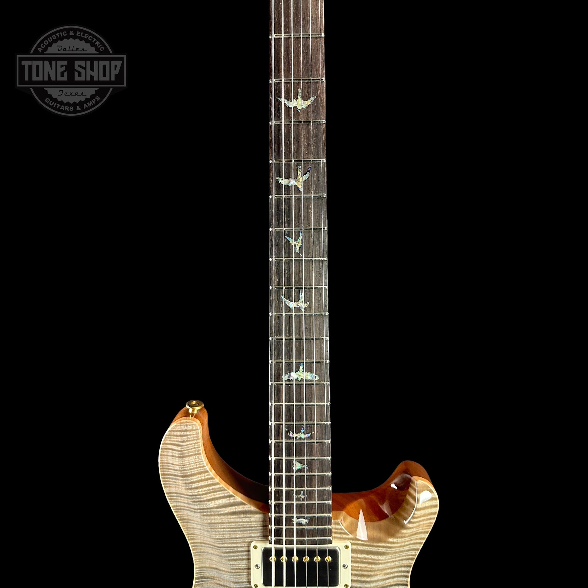PRS TSG Exclusive Wood Library Artist DGT Frostbite Brazilian Rosewood w/case 0391555