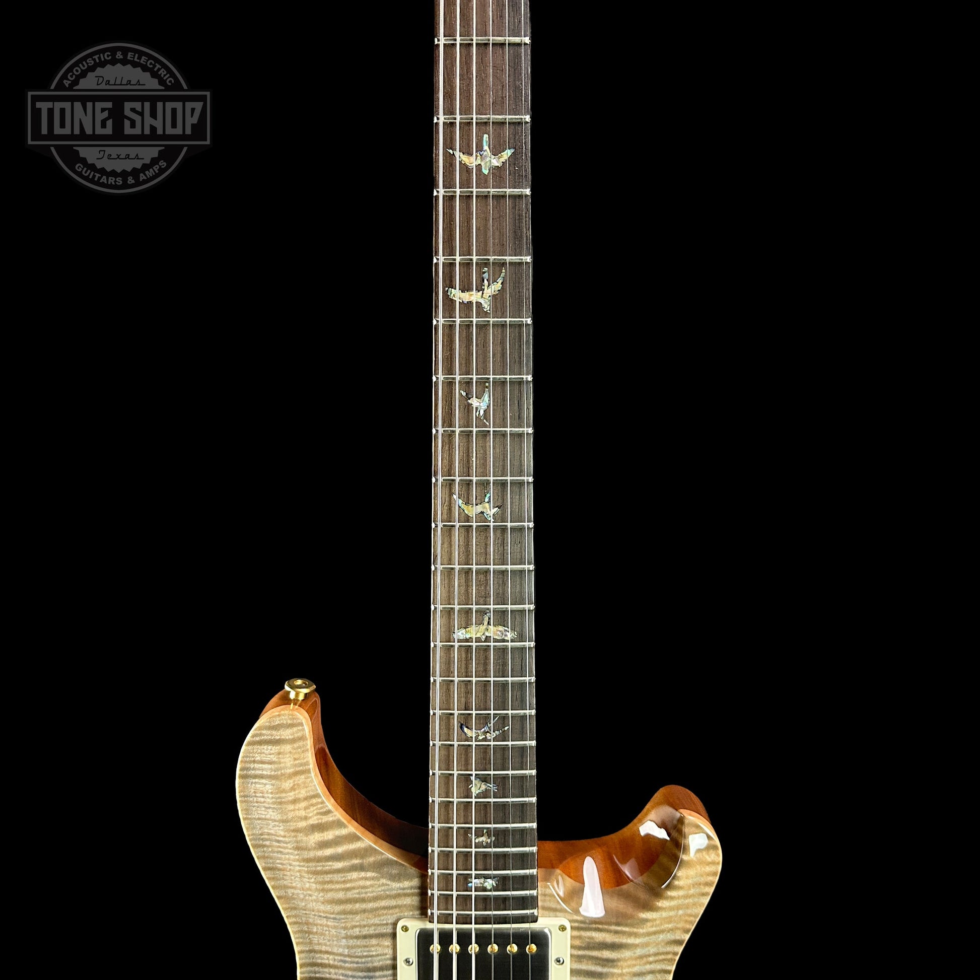 PRS TSG Exclusive Wood Library Artist DGT Frostbite Brazilian Rosewood w/case 0391544