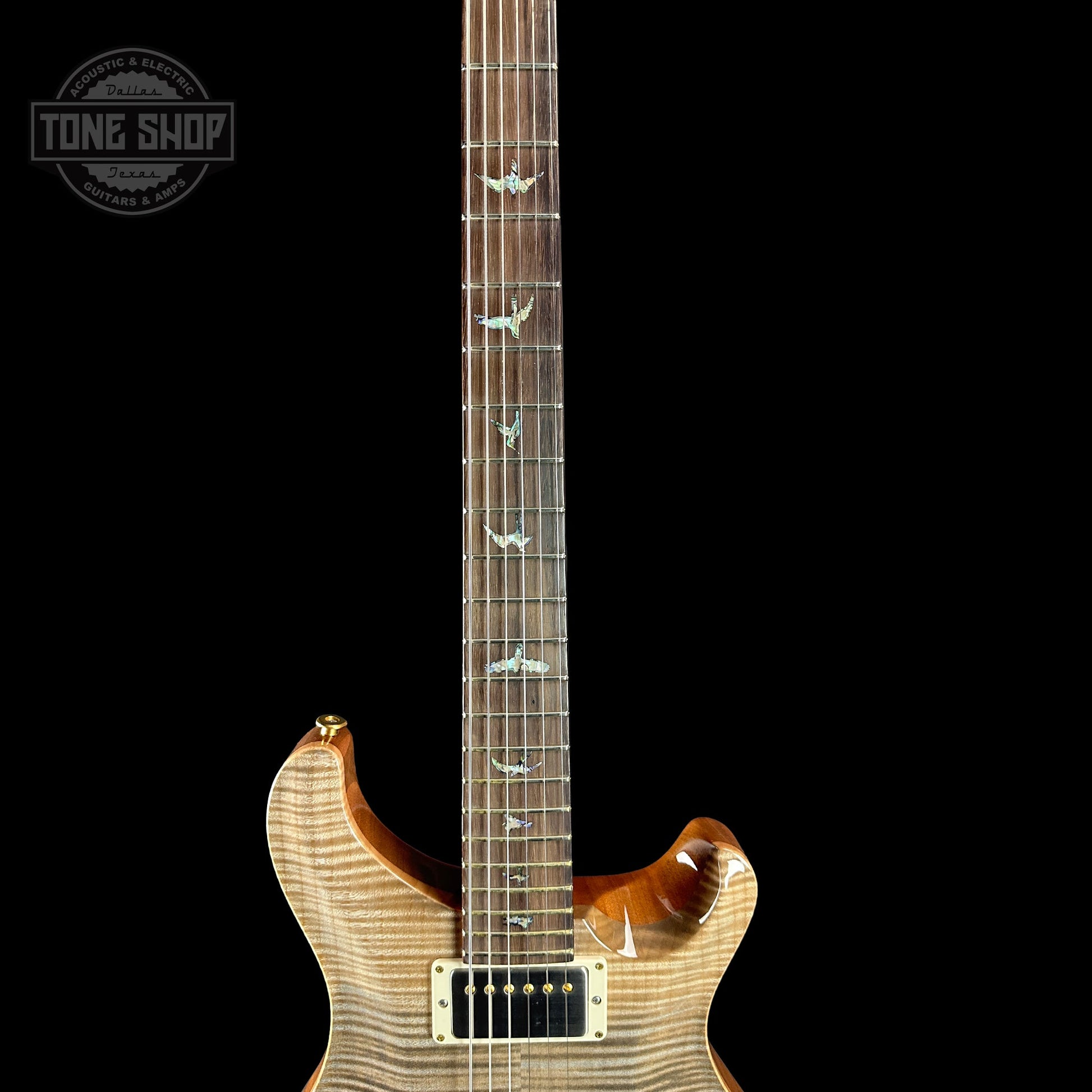 PRS TSG Exclusive Wood Library Artist DGT Frostbite Brazilian Rosewood w/case 0391551