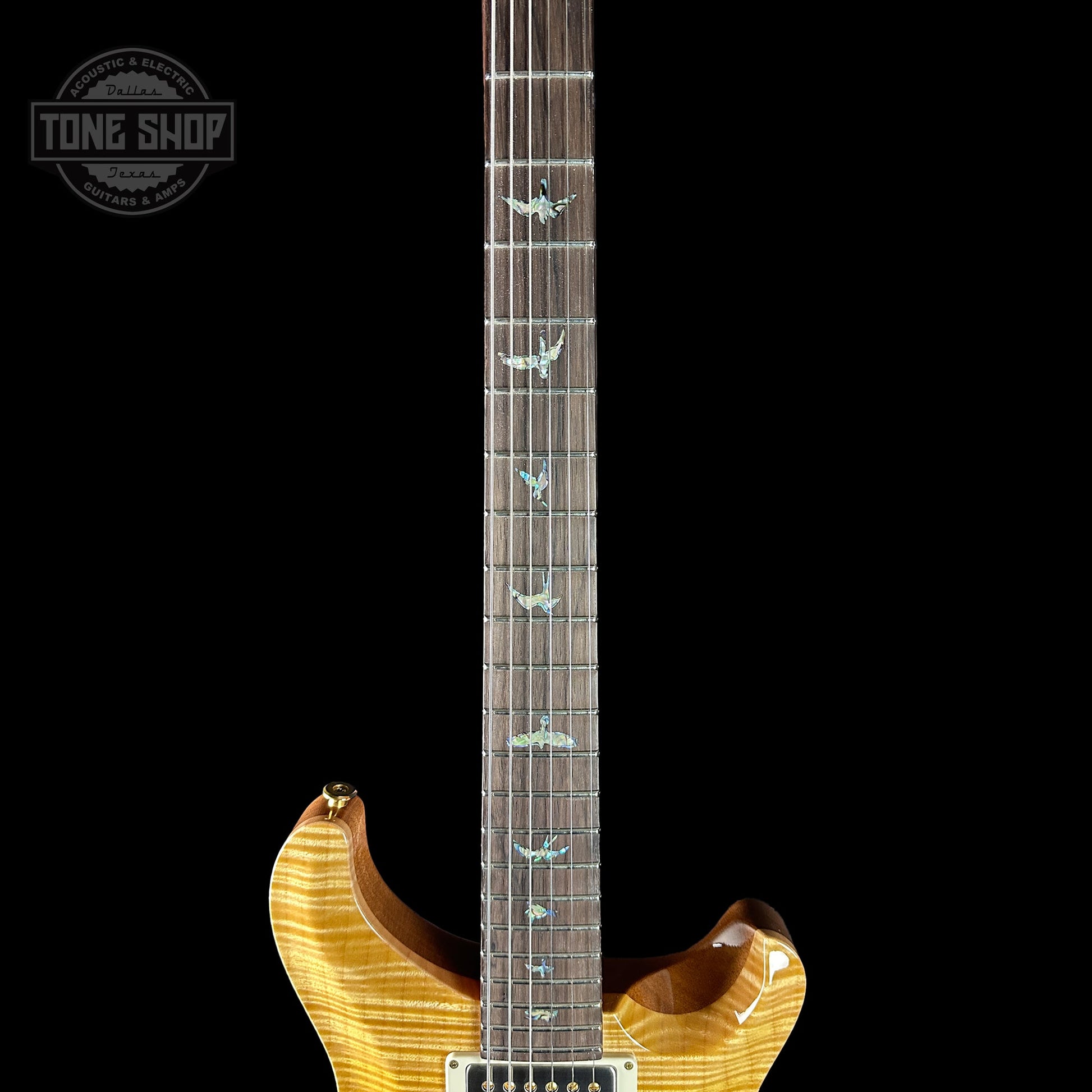 PRS TSG Exclusive Wood Library Artist DGT Gold Storm Fade Brazilian Rosewood w/case 0391554