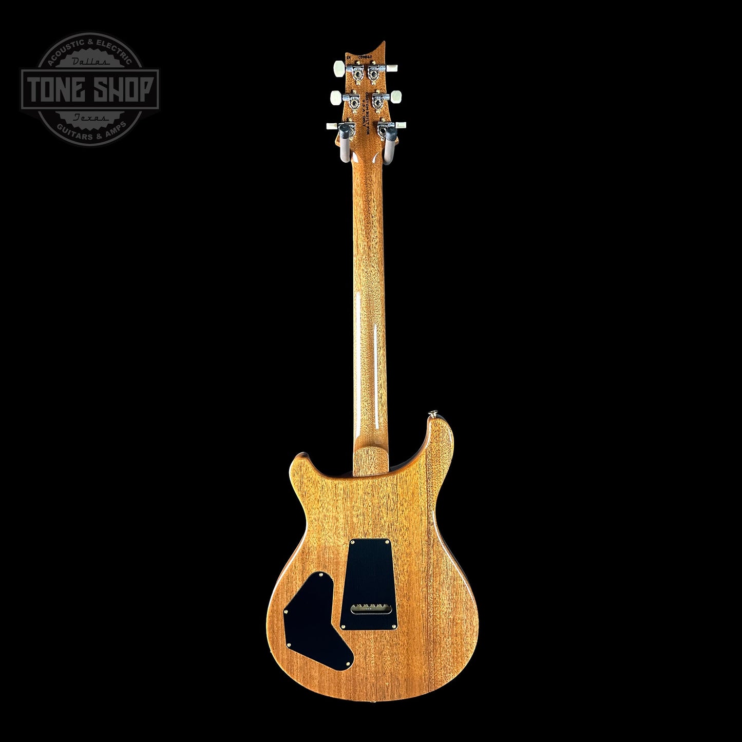 PRS TSG Exclusive Wood Library Artist DGT Frostbite Brazilian Rosewood w/case 0391560