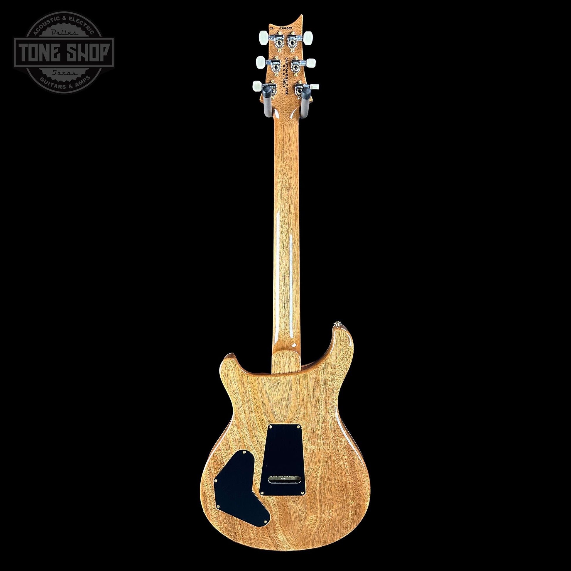 PRS TSG Exclusive Wood Library Artist DGT Frostbite Brazilian Rosewood w/case 0394887
