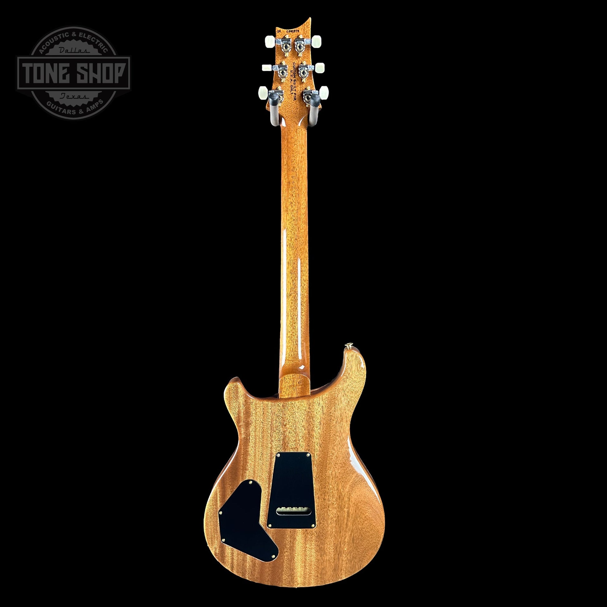 PRS TSG Exclusive Wood Library Artist DGT Gold Storm Fade Brazilian Rosewood w/case 0392374