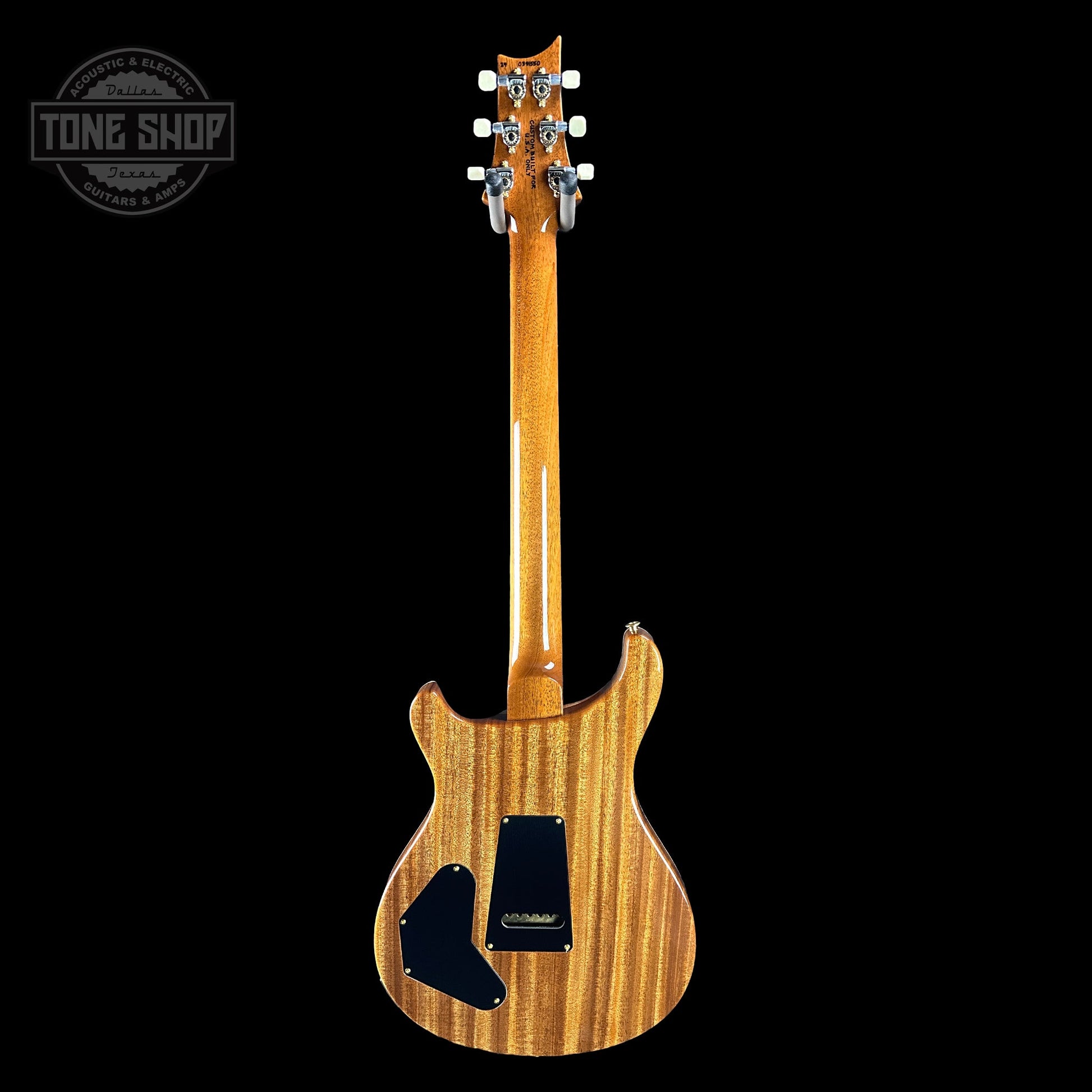 PRS TSG Exclusive Wood Library Artist DGT Frostbite Brazilian Rosewood w/case 0391550