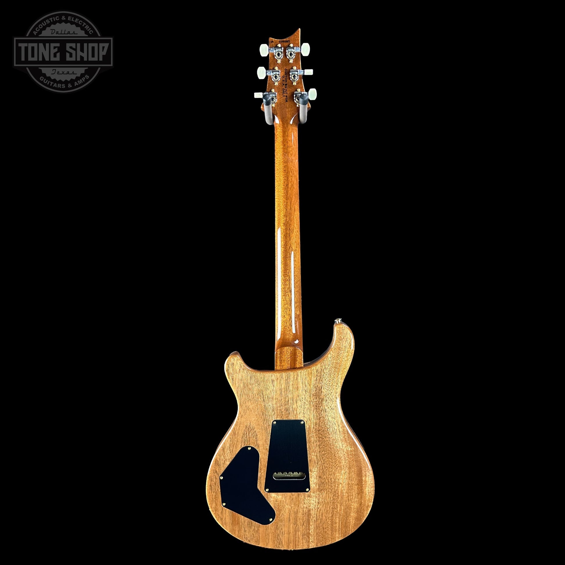 PRS TSG Exclusive Wood Library Artist DGT Frostbite Brazilian Rosewood w/case 0391852