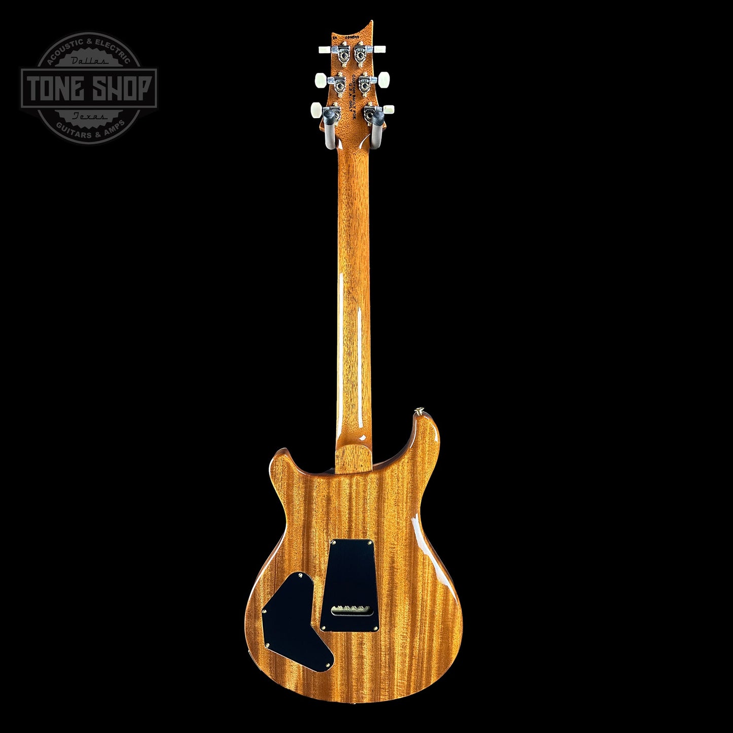 PRS TSG Exclusive Wood Library Artist DGT Frostbite Brazilian Rosewood w/case 0391549