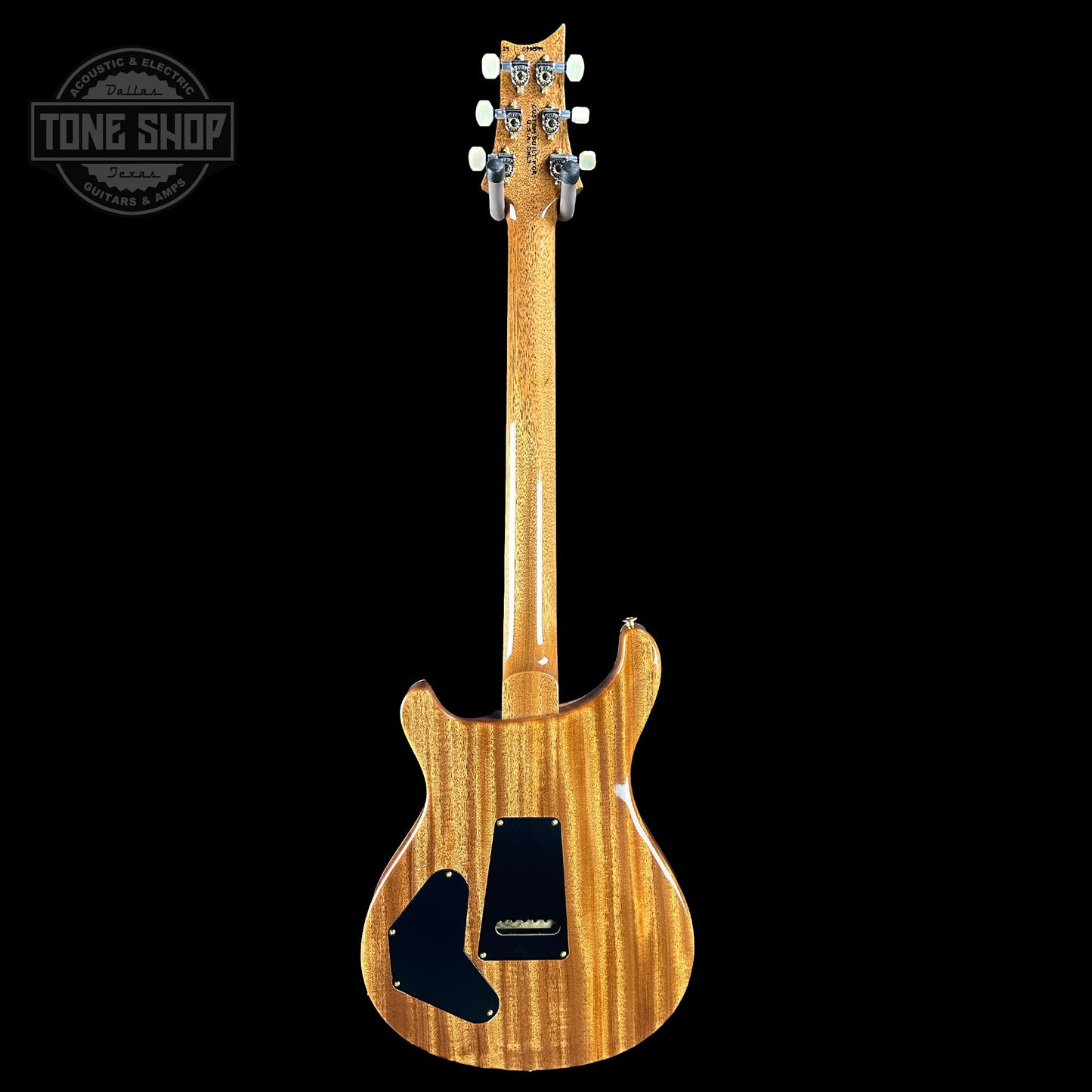 PRS TSG Exclusive Wood Library Artist DGT Frostbite Brazilian Rosewood w/case 0391544