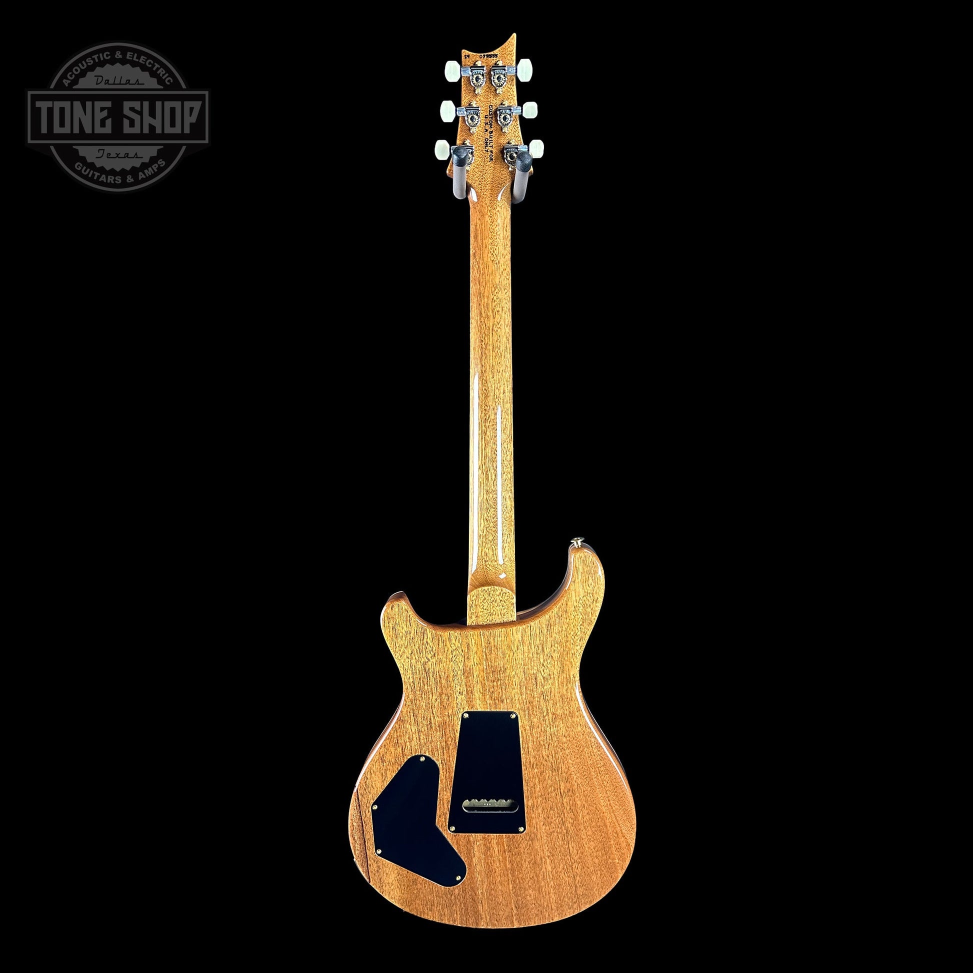 PRS TSG Exclusive Wood Library Artist DGT Frostbite Brazilian Rosewood w/case 0391555