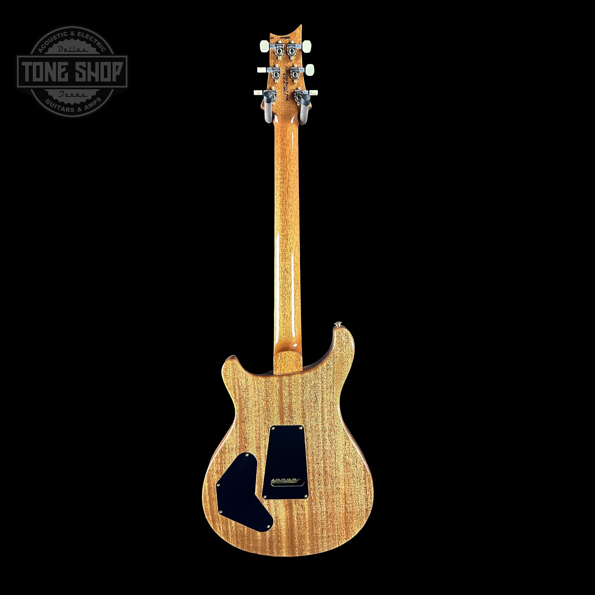 PRS TSG Exclusive Wood Library Artist DGT Frostbite Brazilian Rosewood w/case 0391551