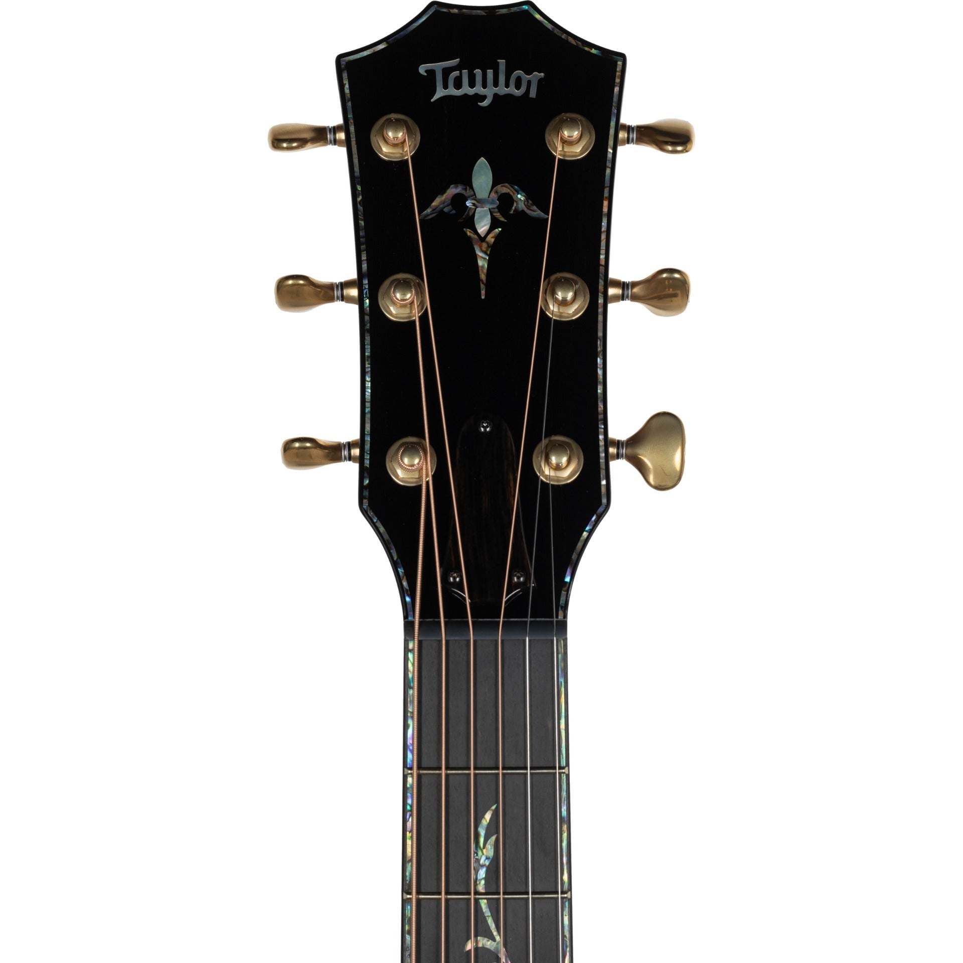 Taylor PS14ce Honduran Rosewood V-Class Acoustic Electric Guitar, Sinker Redwood