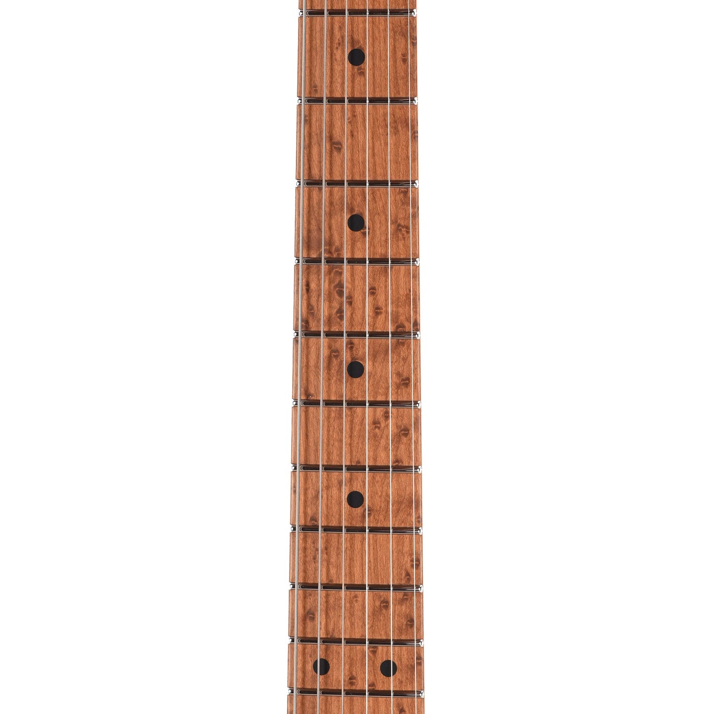 Suhr Custom Modern T Trans Algae w/CME-Selected Burl Maple Top