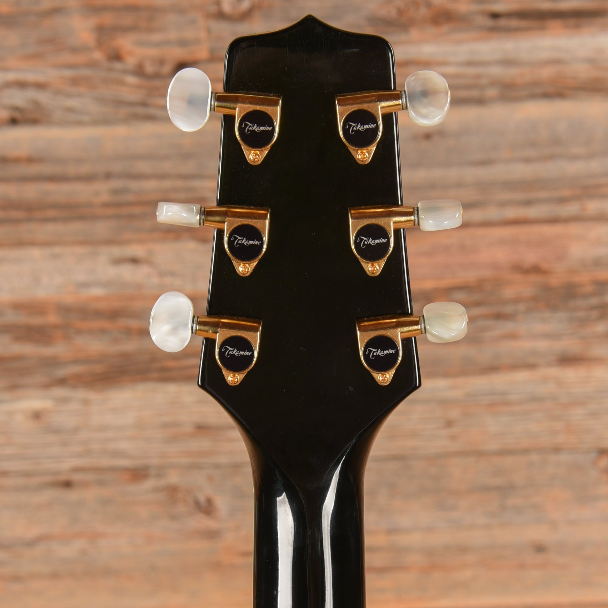 Takamine Custom Acoustic Guitar Green Green - John Oates