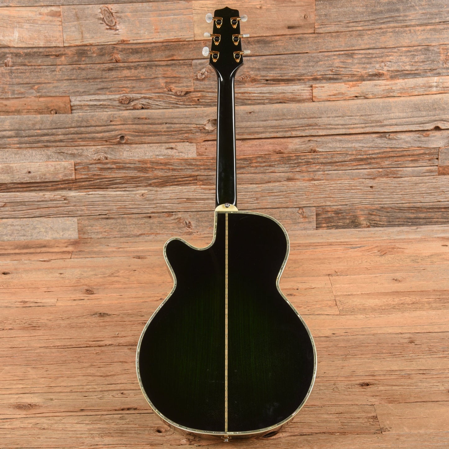 Takamine Custom Acoustic Guitar Green Green - John Oates