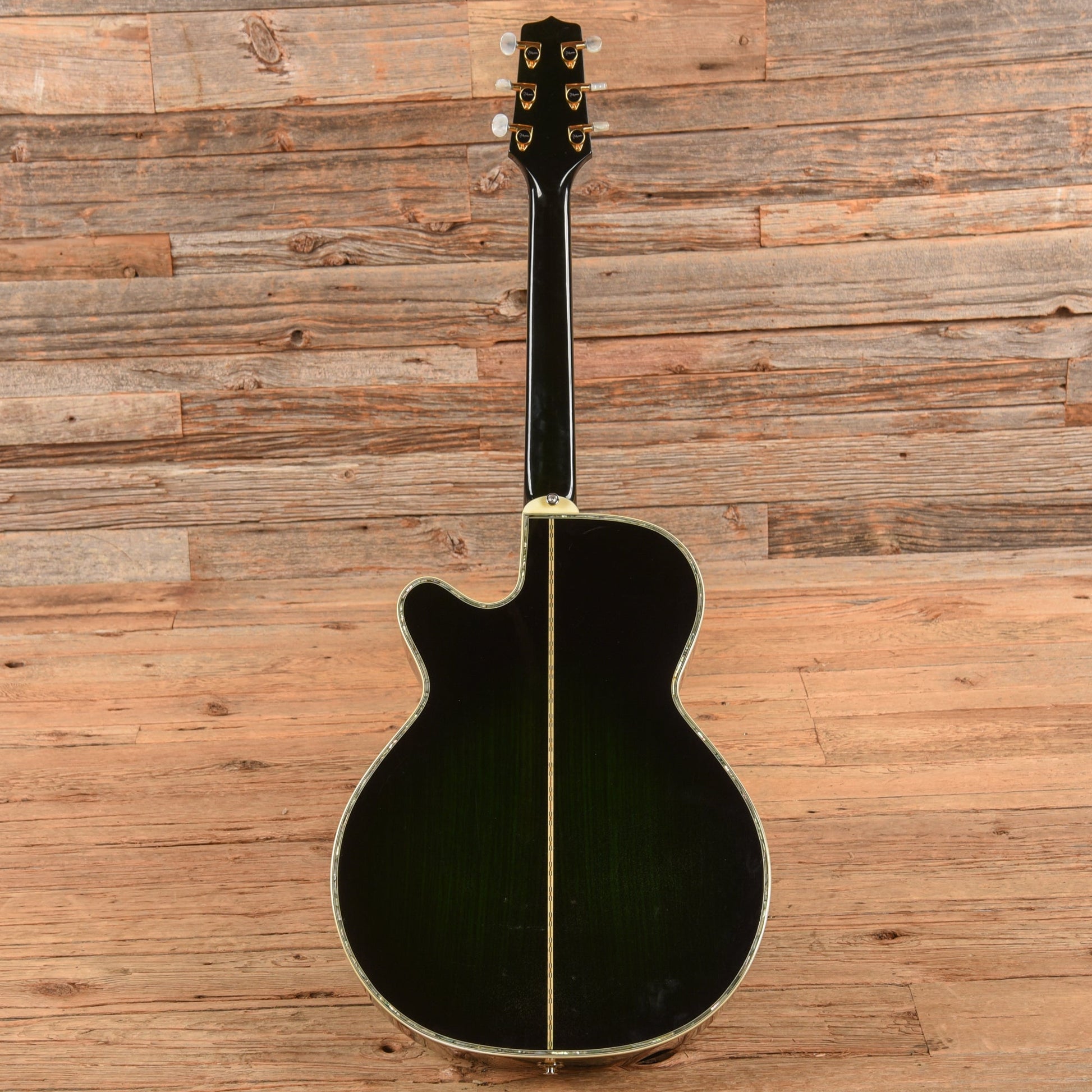 Takamine Custom Acoustic Guitar Green Green - John Oates