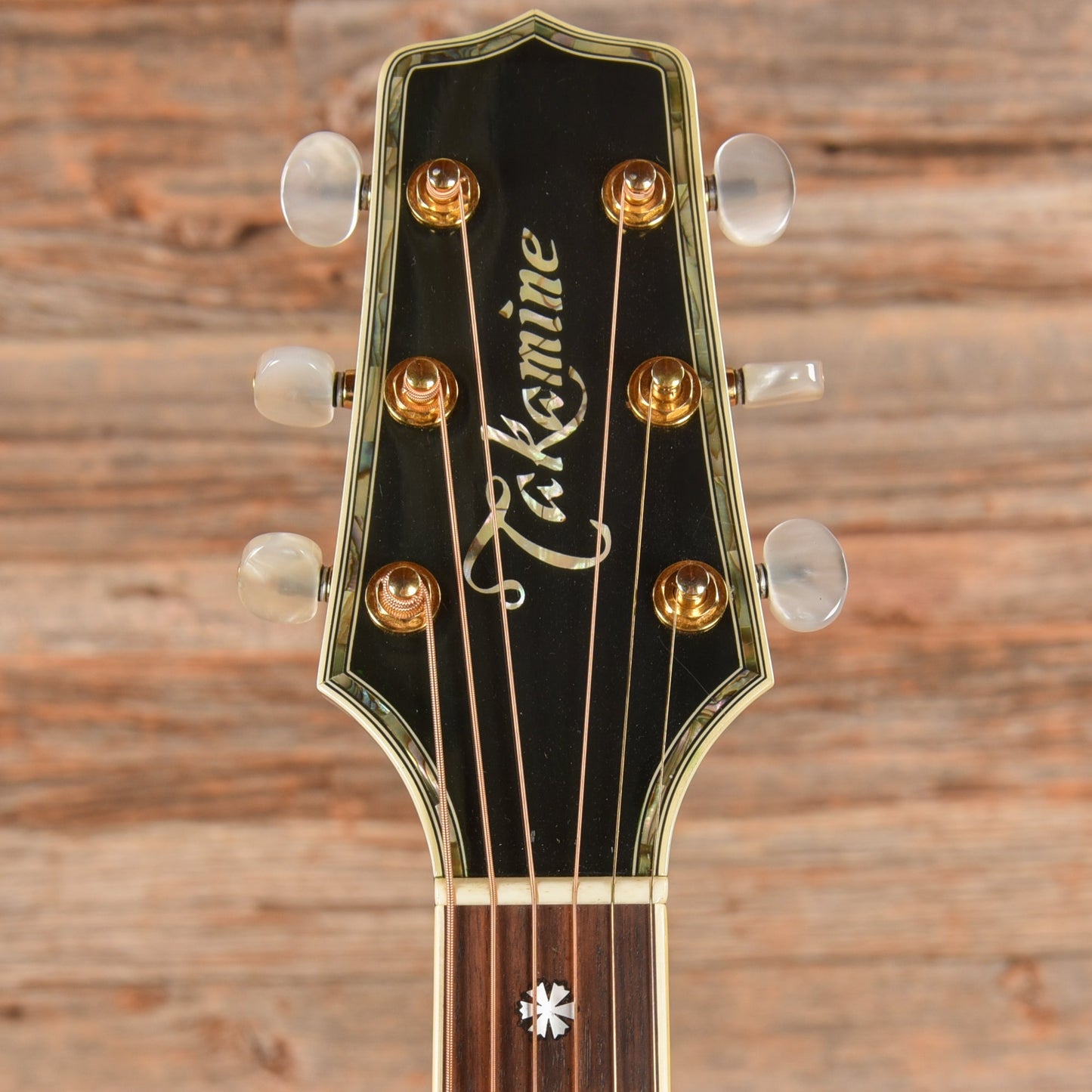 Takamine Custom Acoustic Guitar Green Green - John Oates